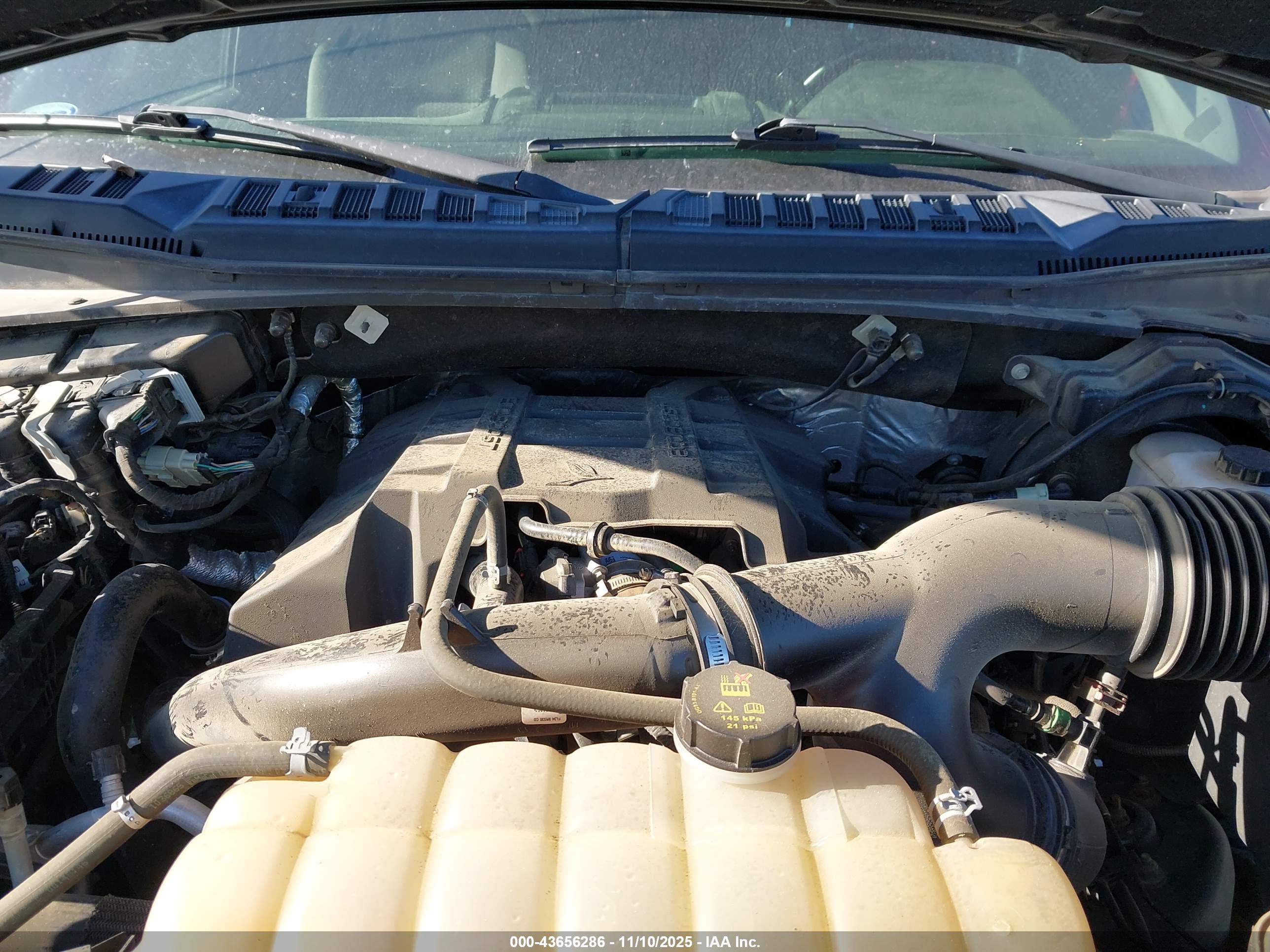 FORD F-150 image 10
