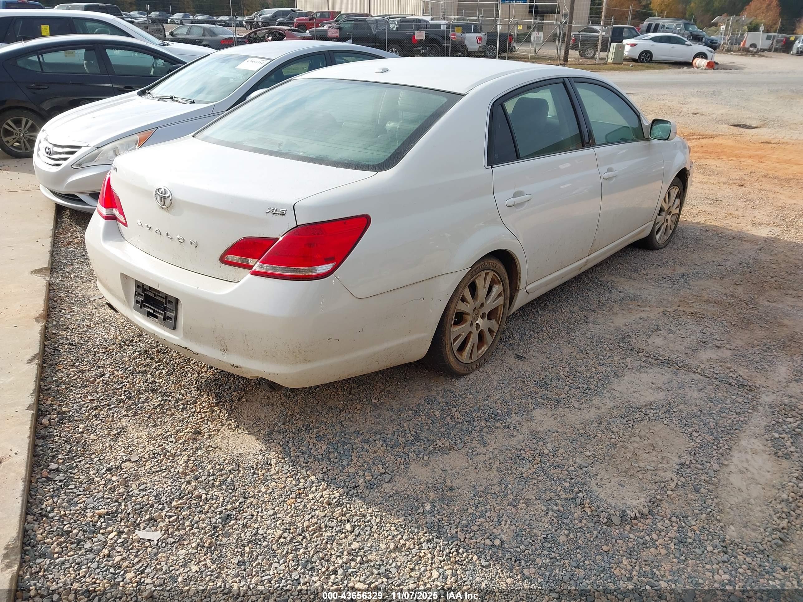TOYOTA AVALON image 4
