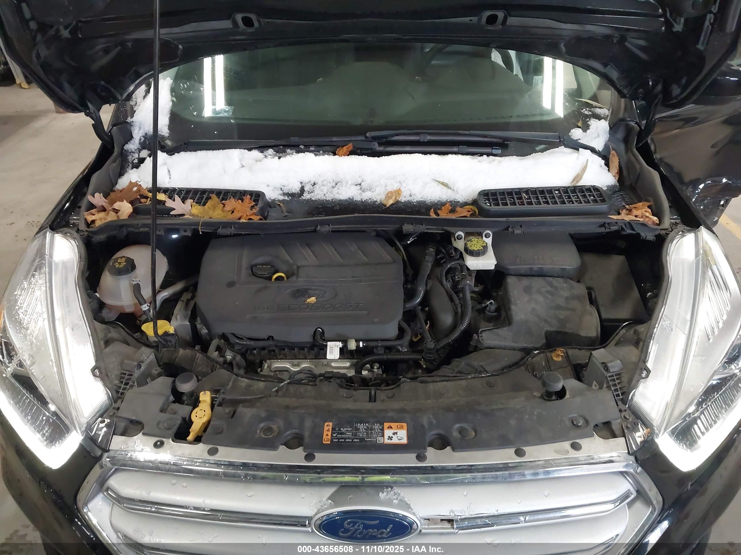 FORD ESCAPE image 10