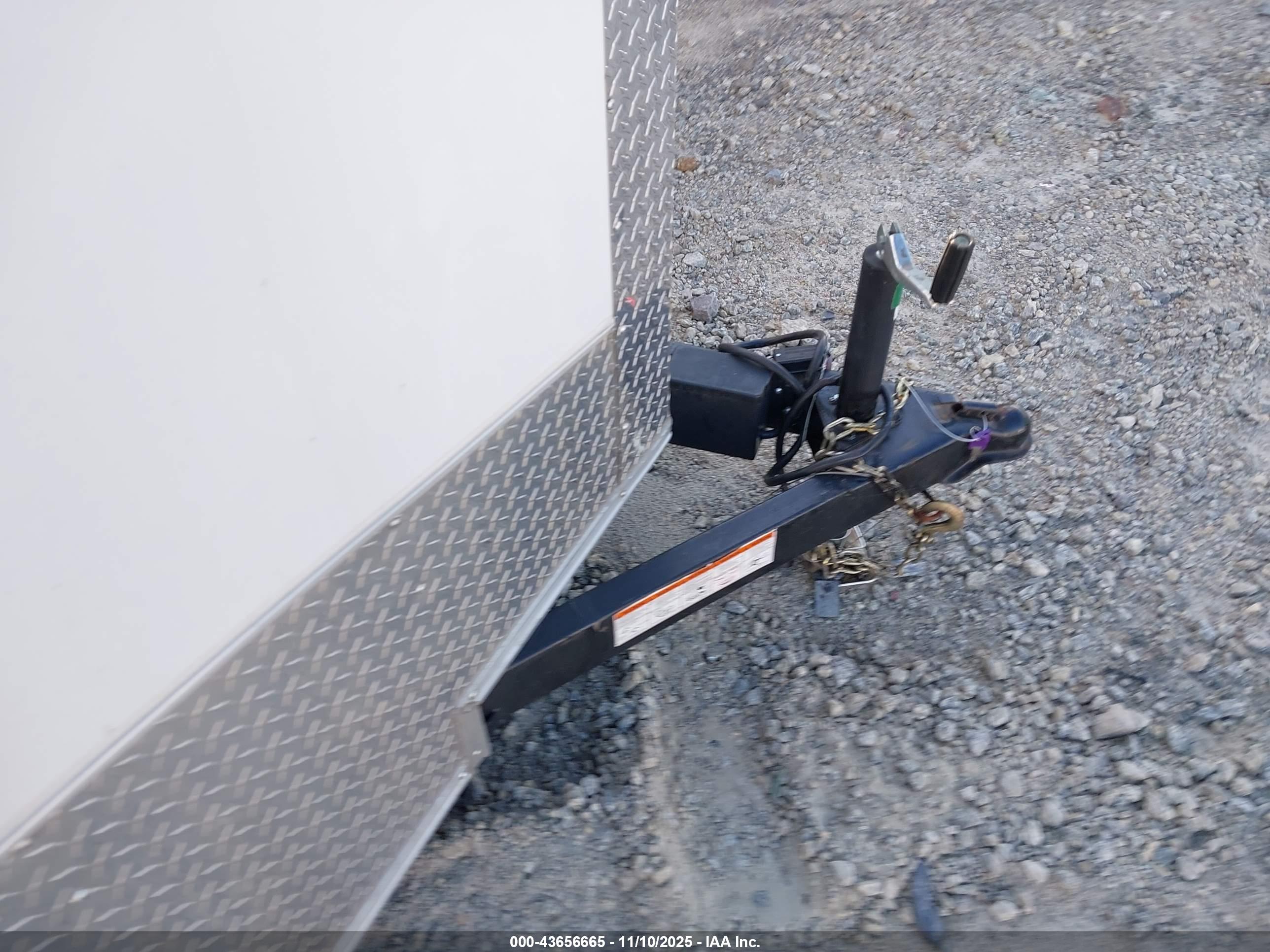 SEED CARGO image 10