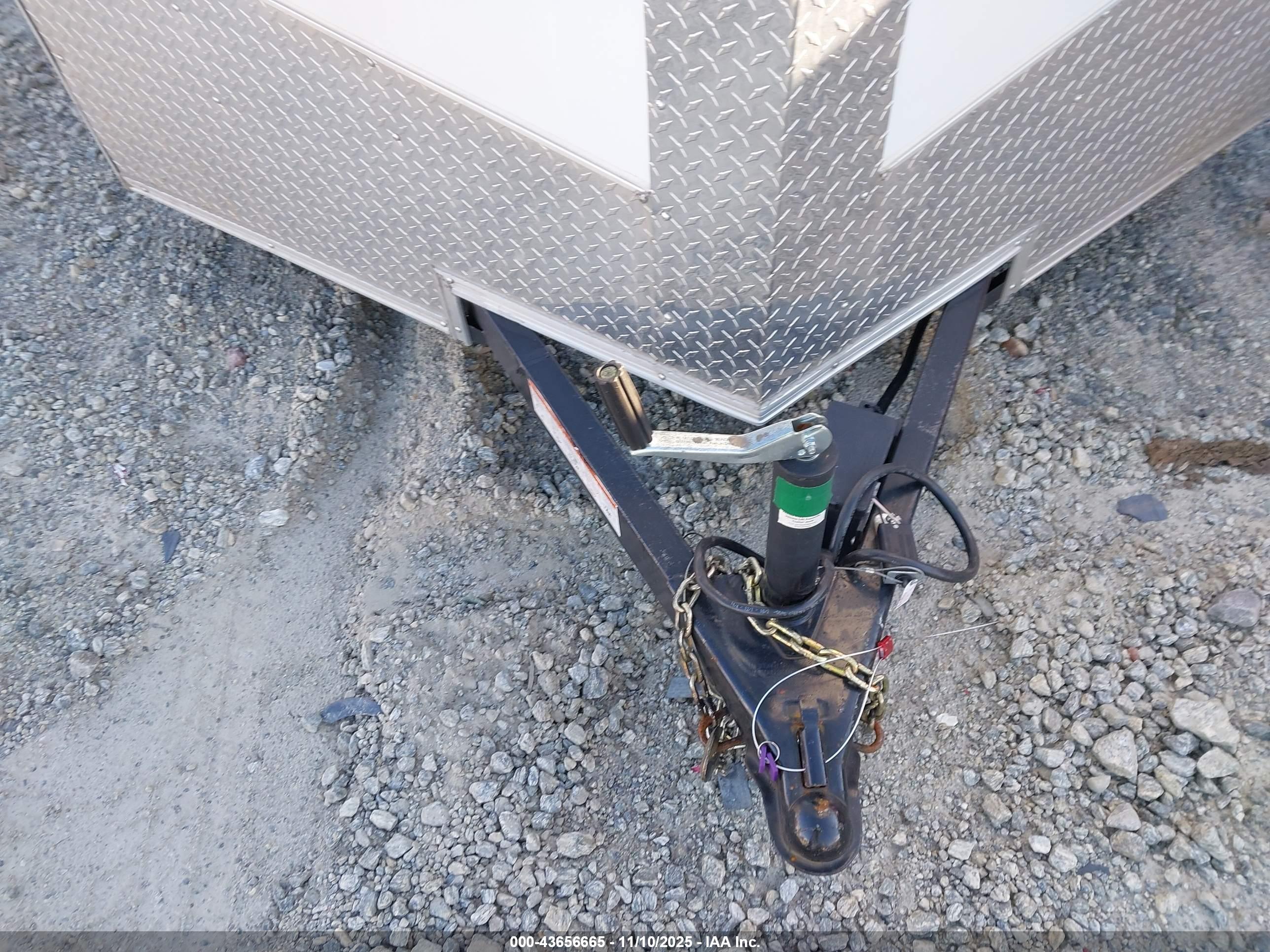 SEED CARGO image 7