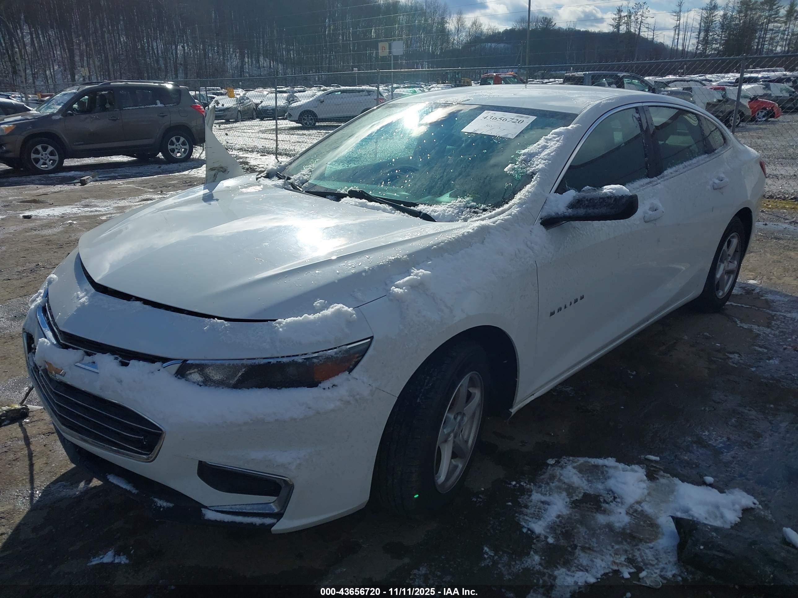CHEVROLET MALIBU image 2