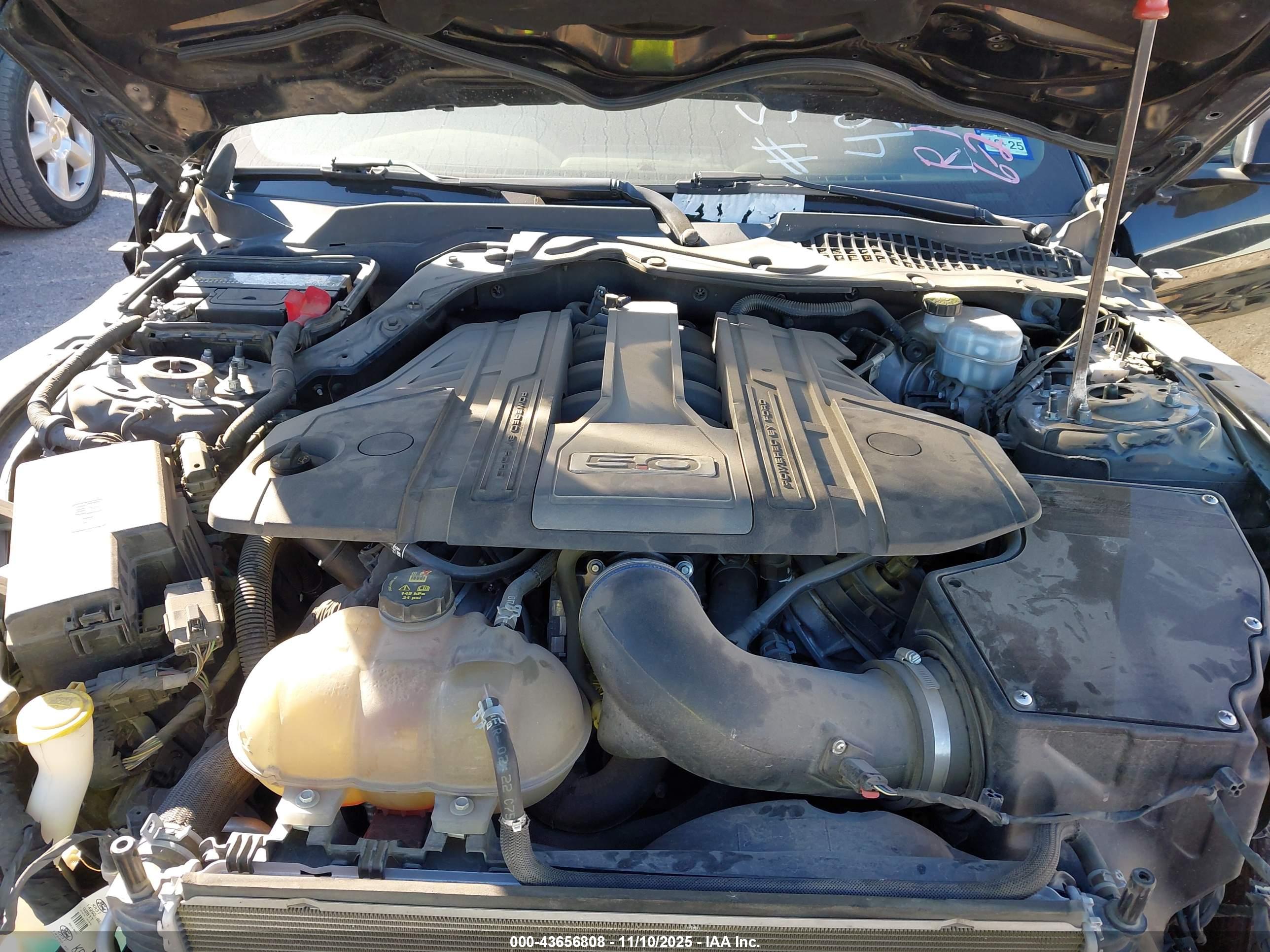 FORD MUSTANG image 10