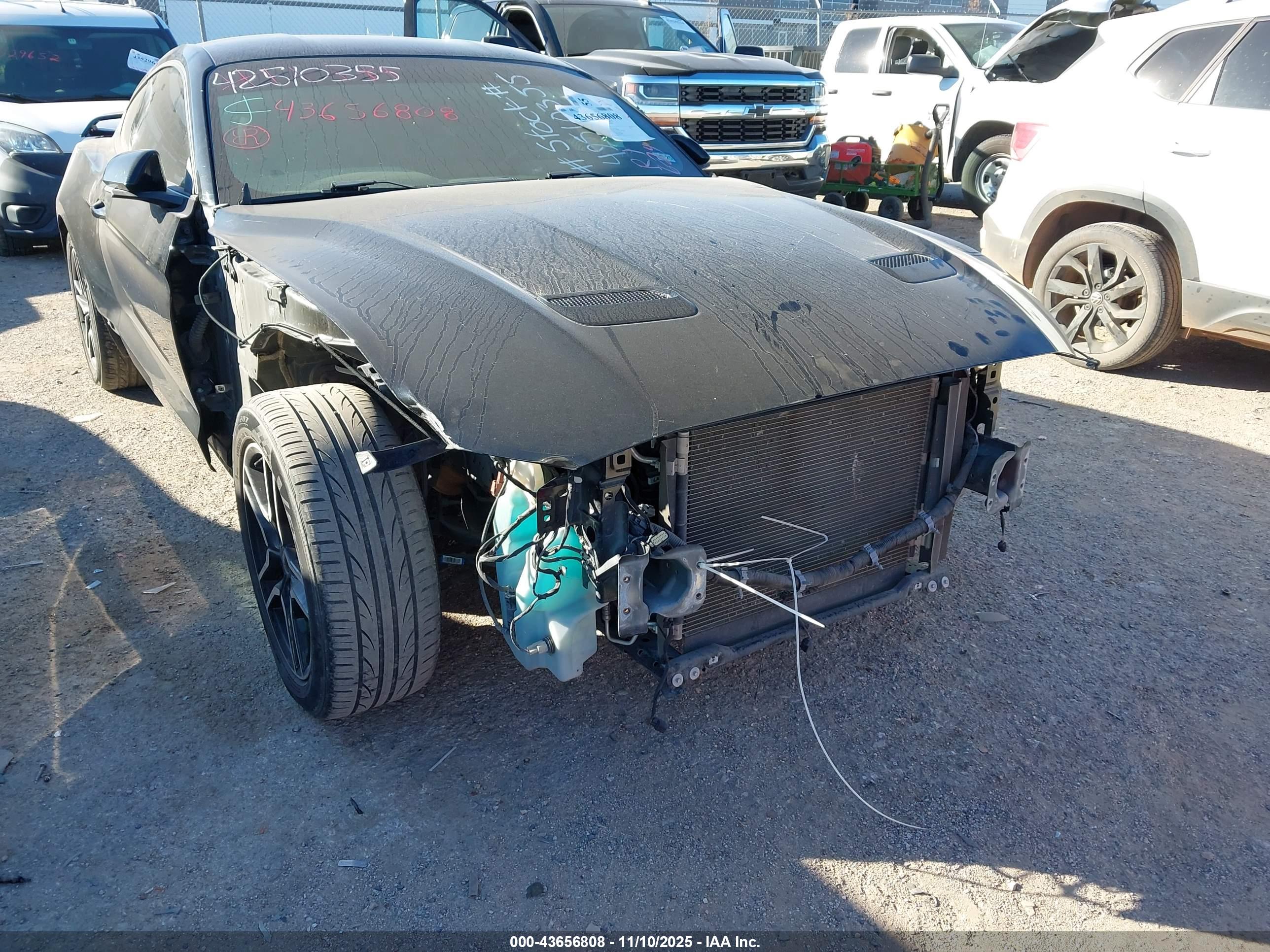 FORD MUSTANG image 6