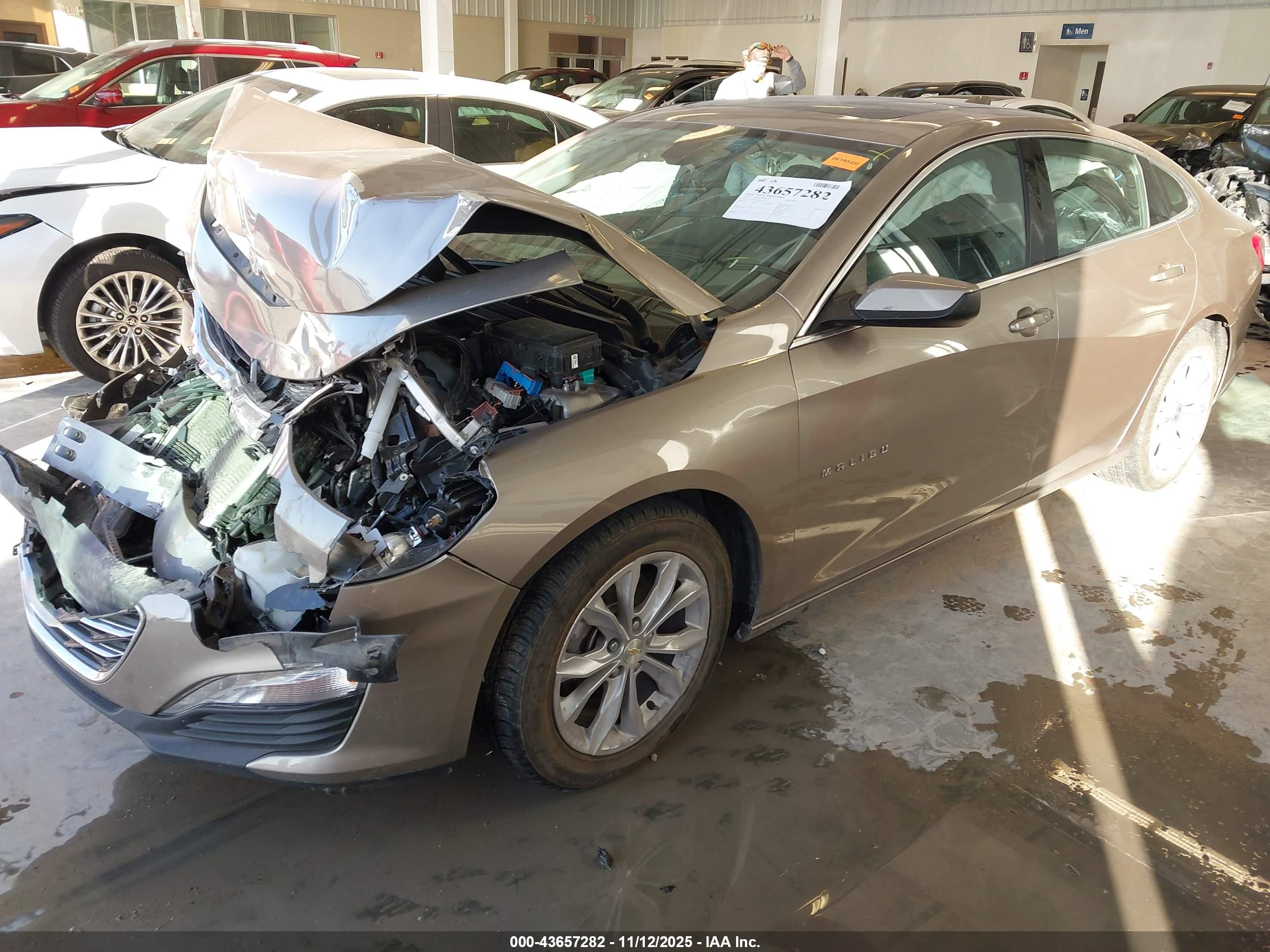 CHEVROLET MALIBU image 2