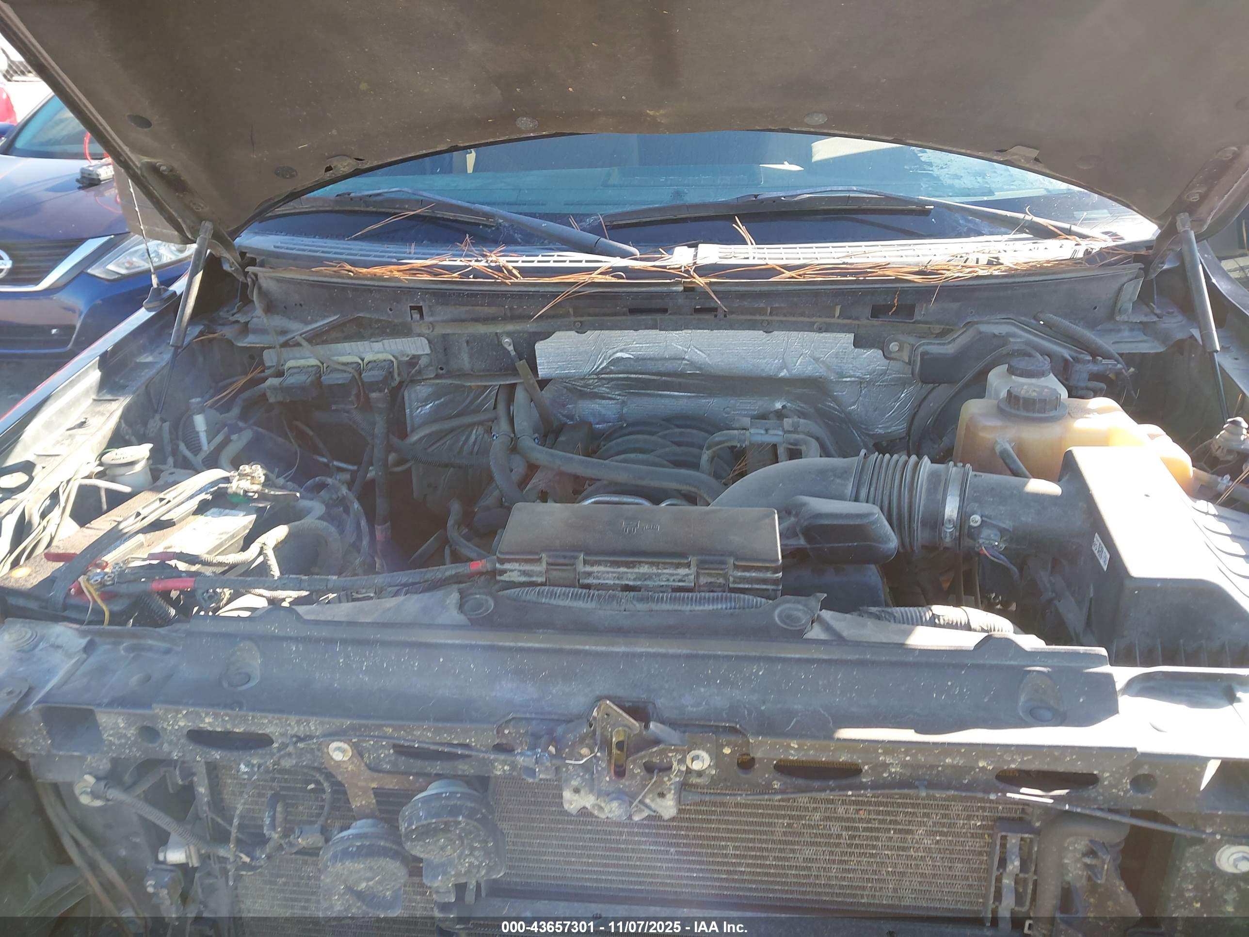 FORD F-150 image 10