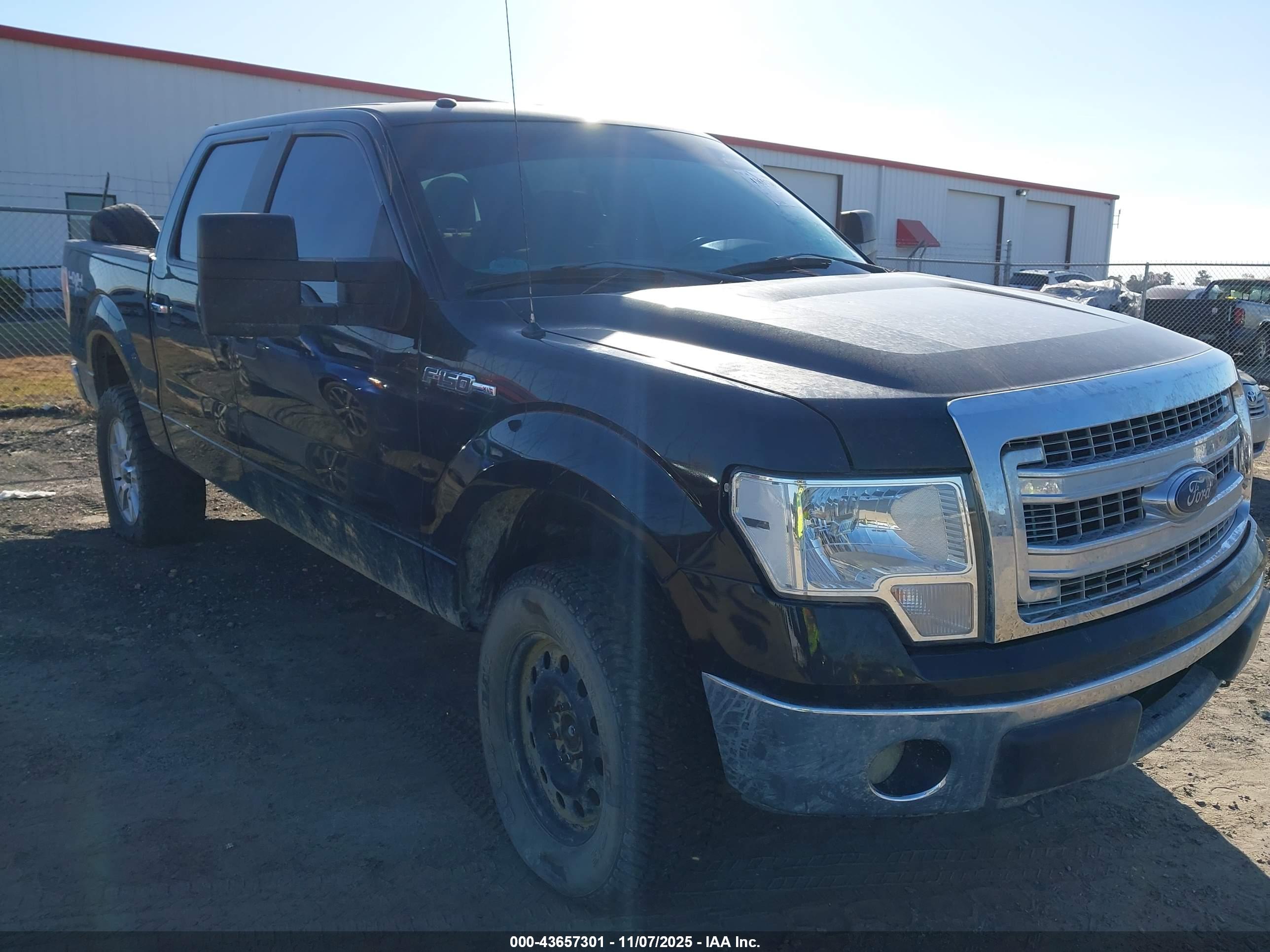 FORD F-150 image 6