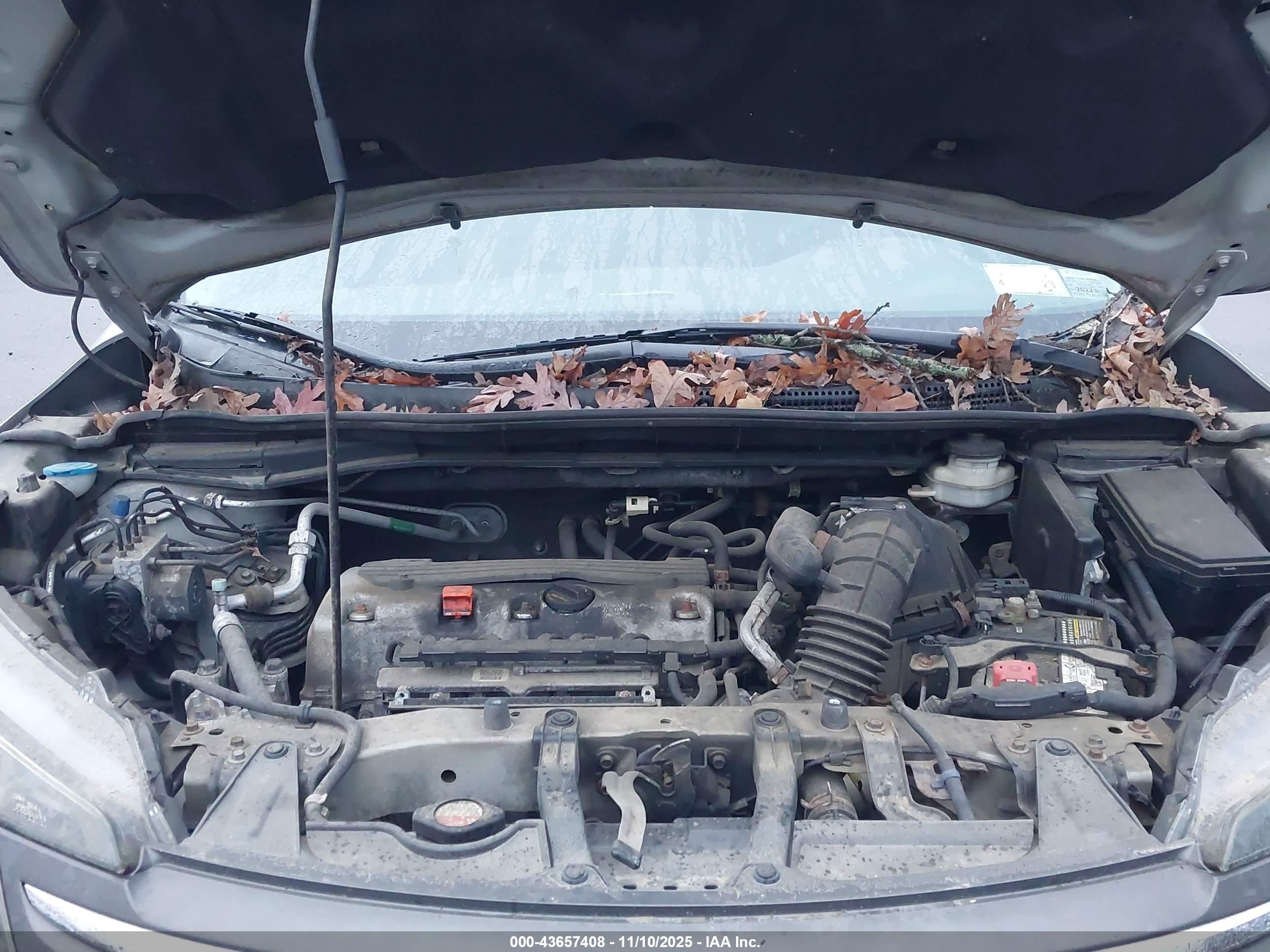 HONDA CR-V image 10