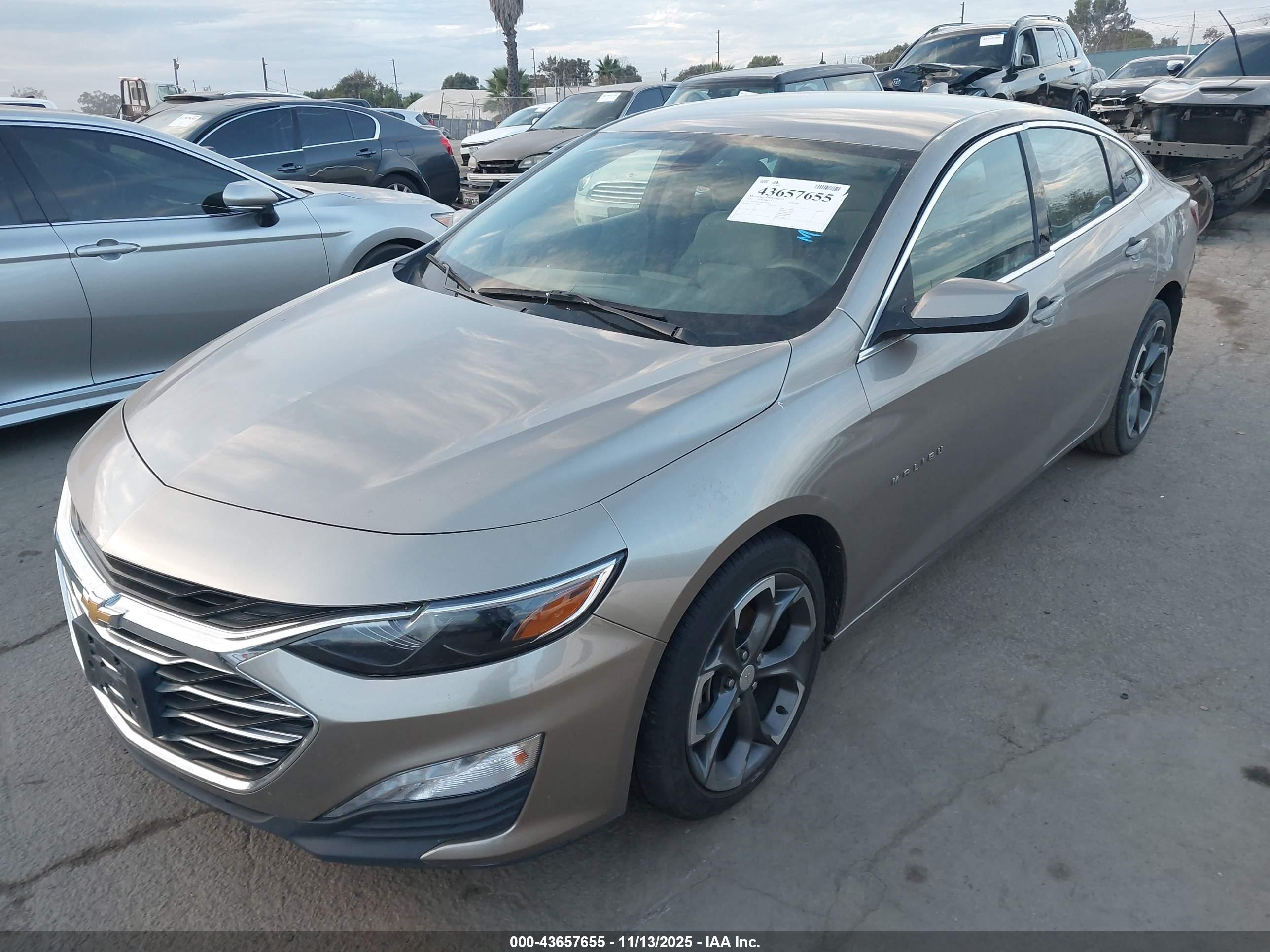 CHEVROLET MALIBU image 2