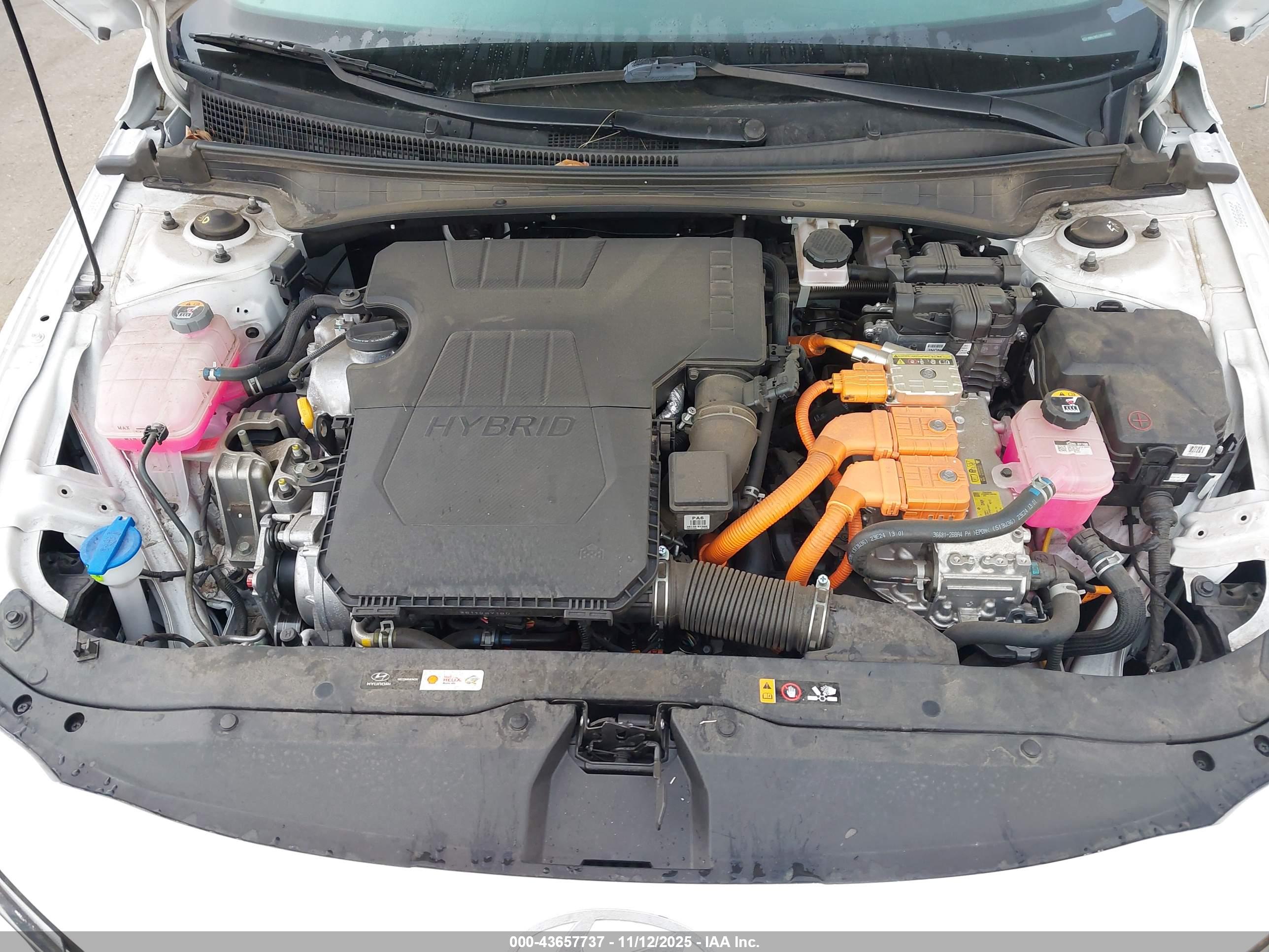 HYUNDAI ELANTRA image 10
