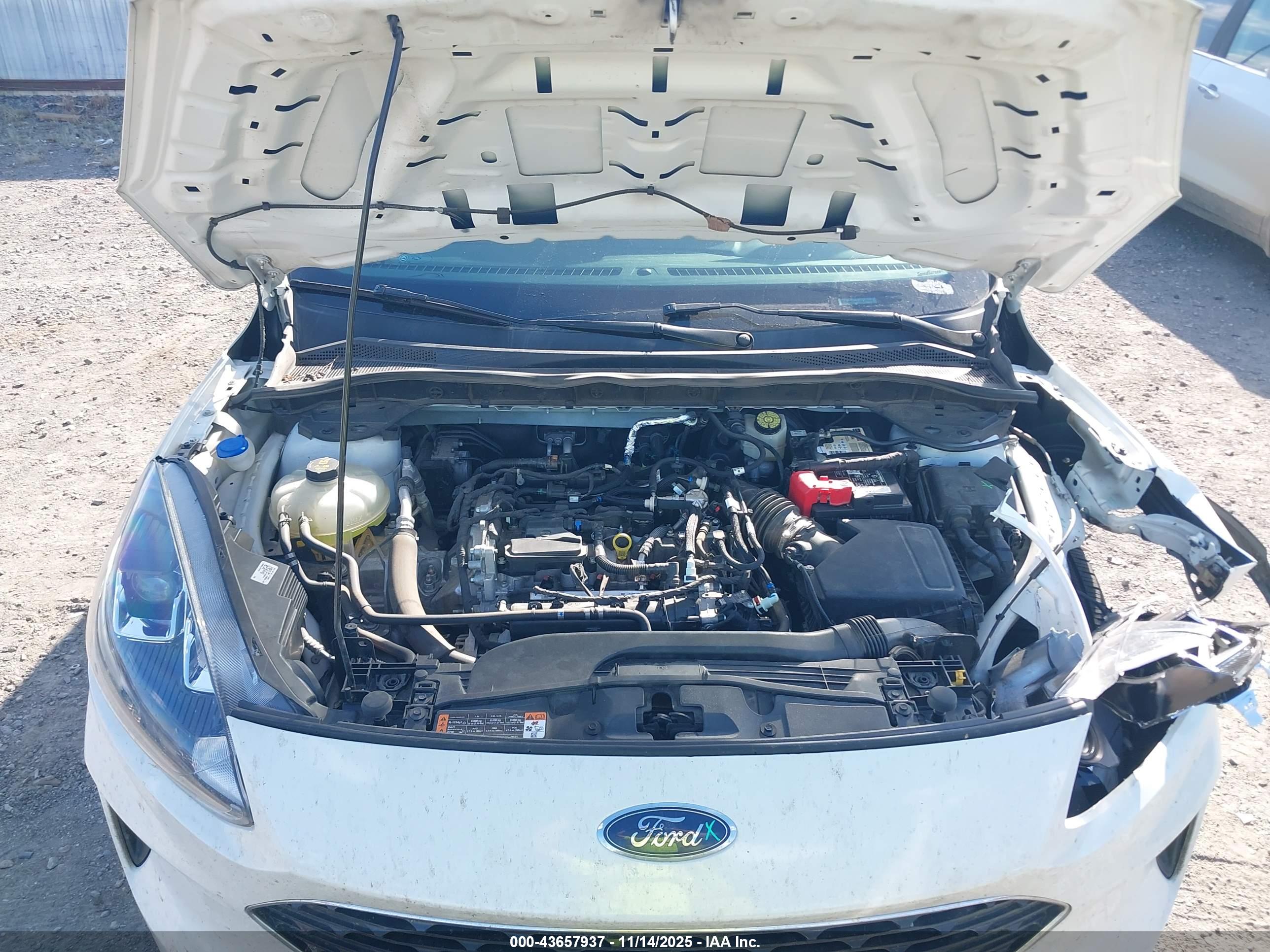 FORD ESCAPE image 10