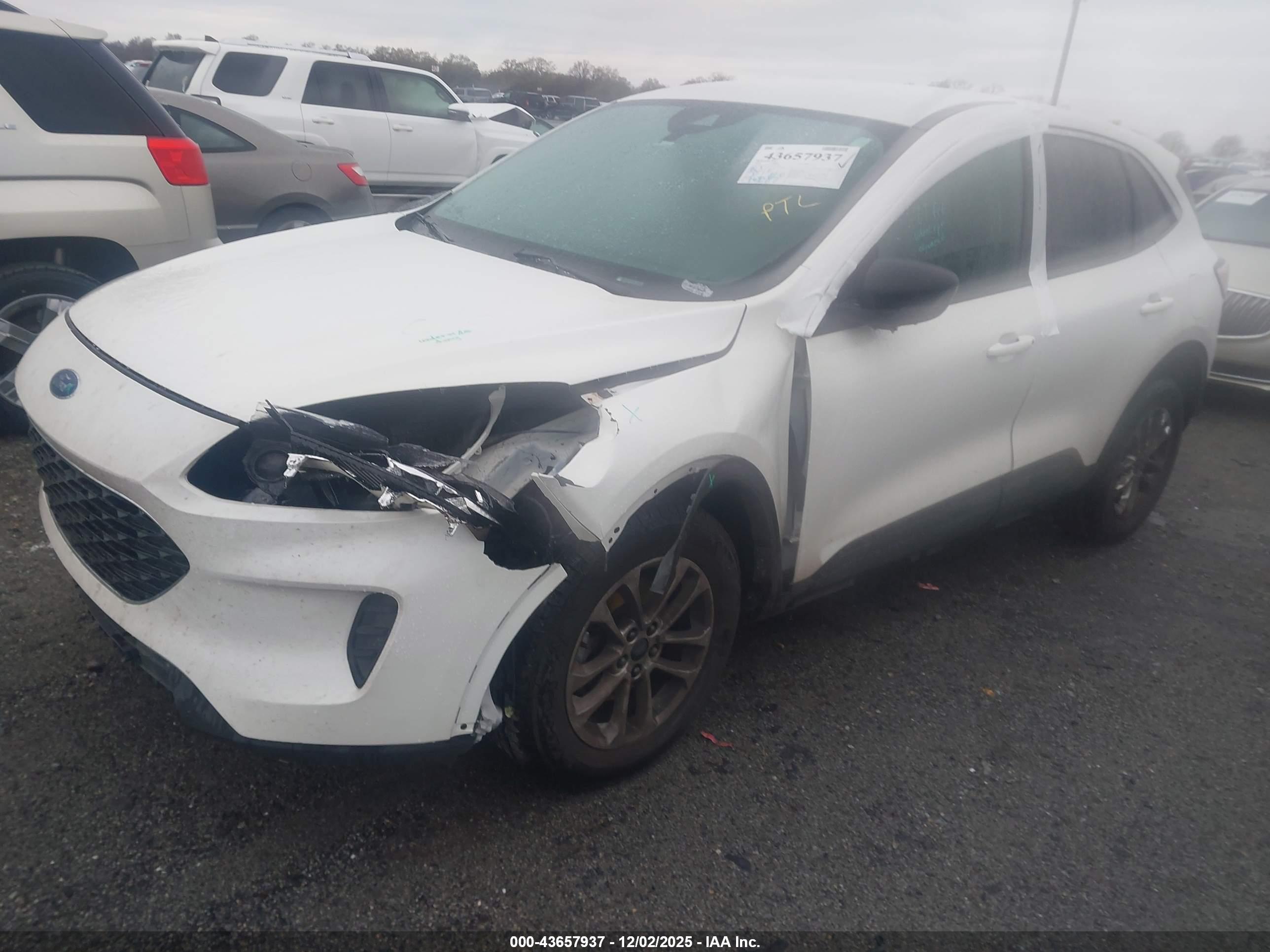 FORD ESCAPE image 2