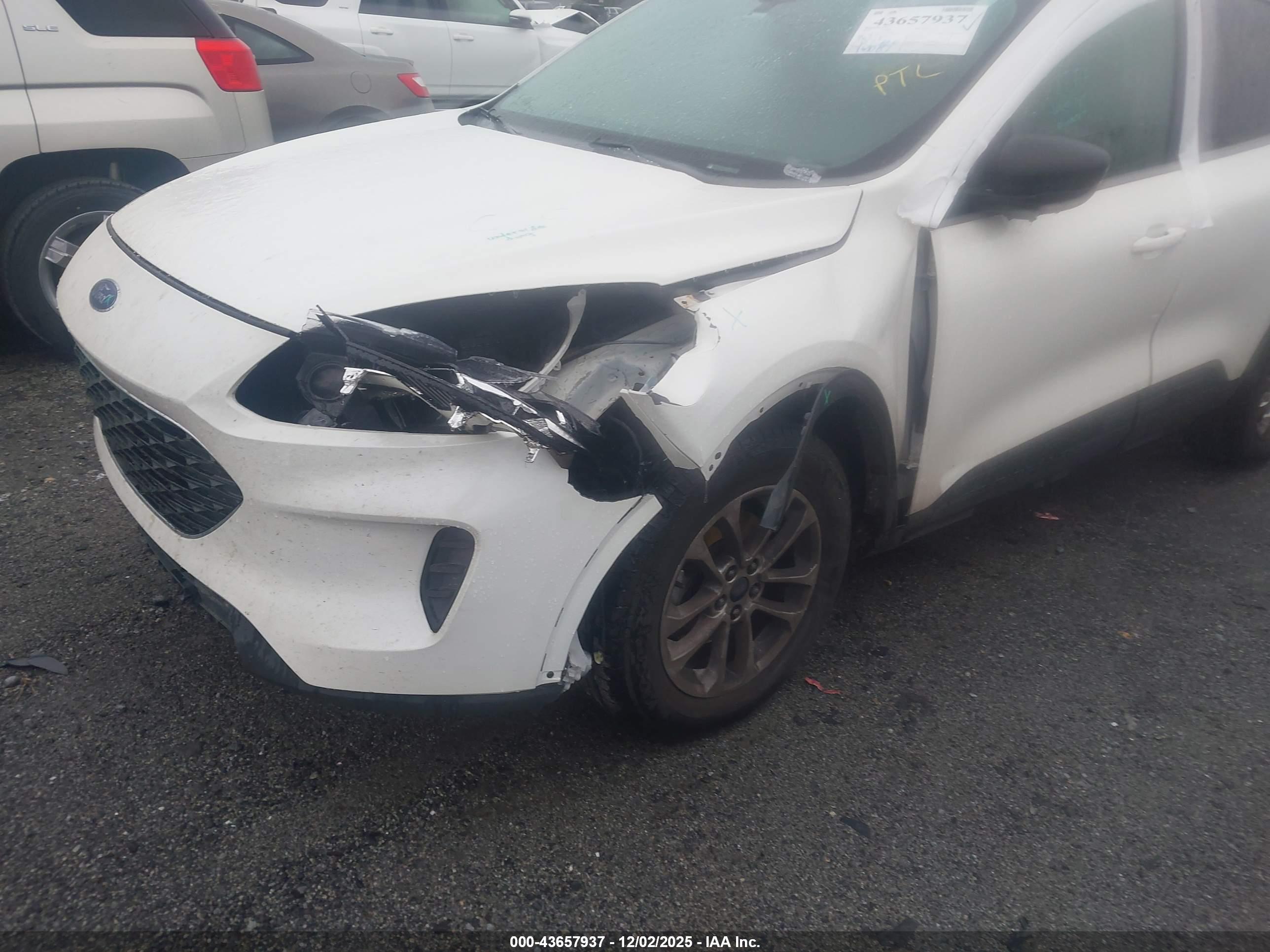 FORD ESCAPE image 6