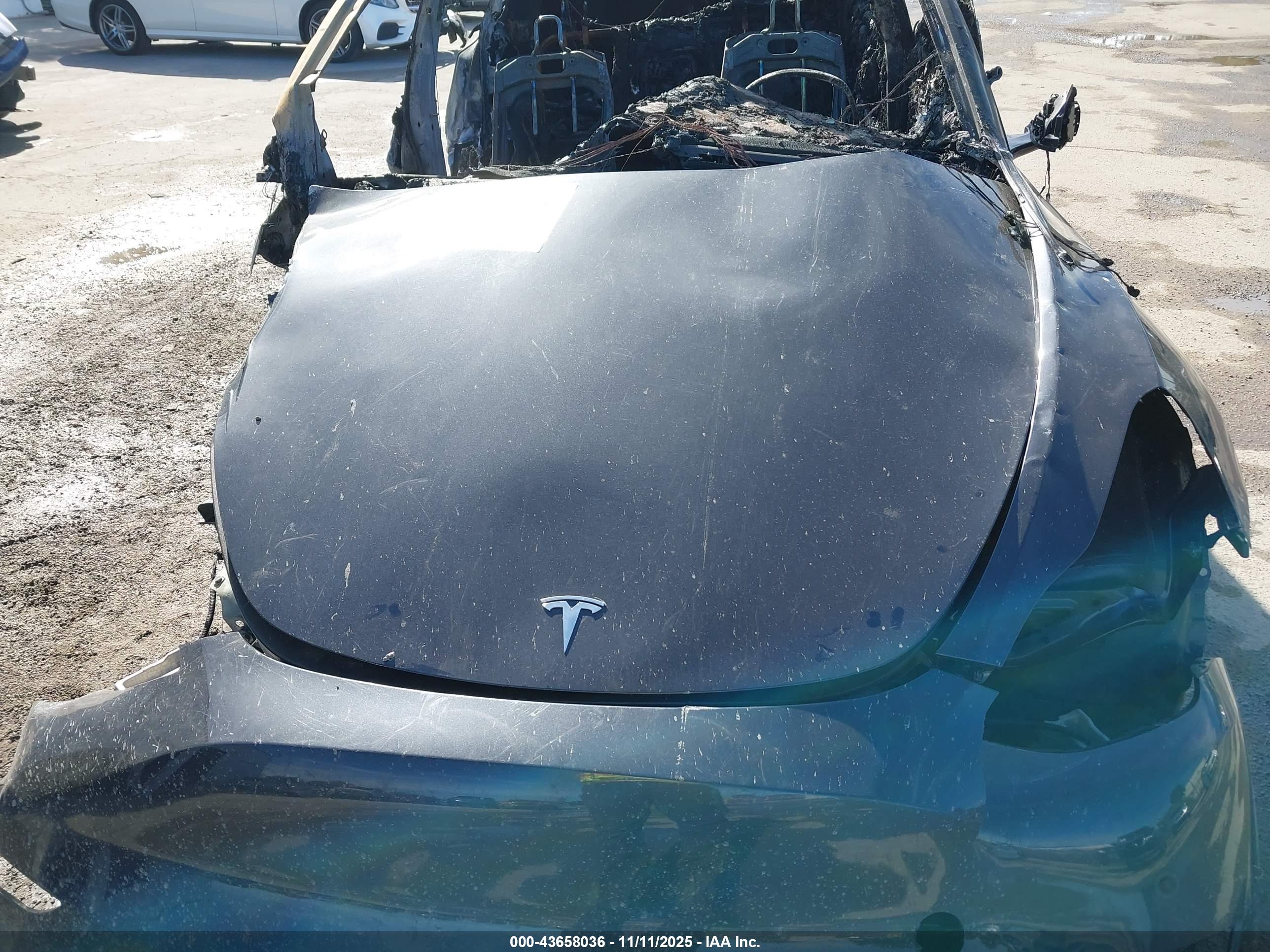 TESLA MODEL image 10
