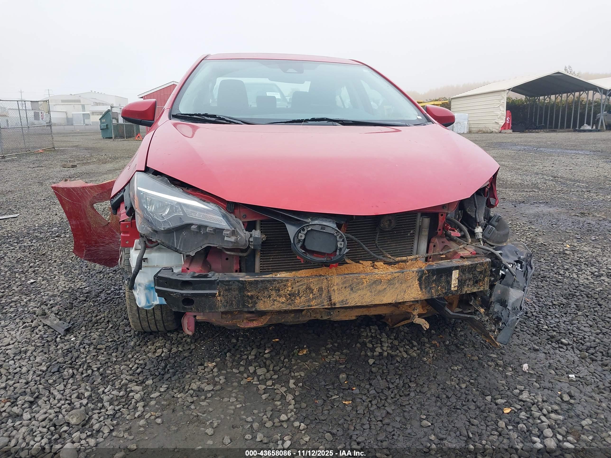 TOYOTA COROLLA image 6