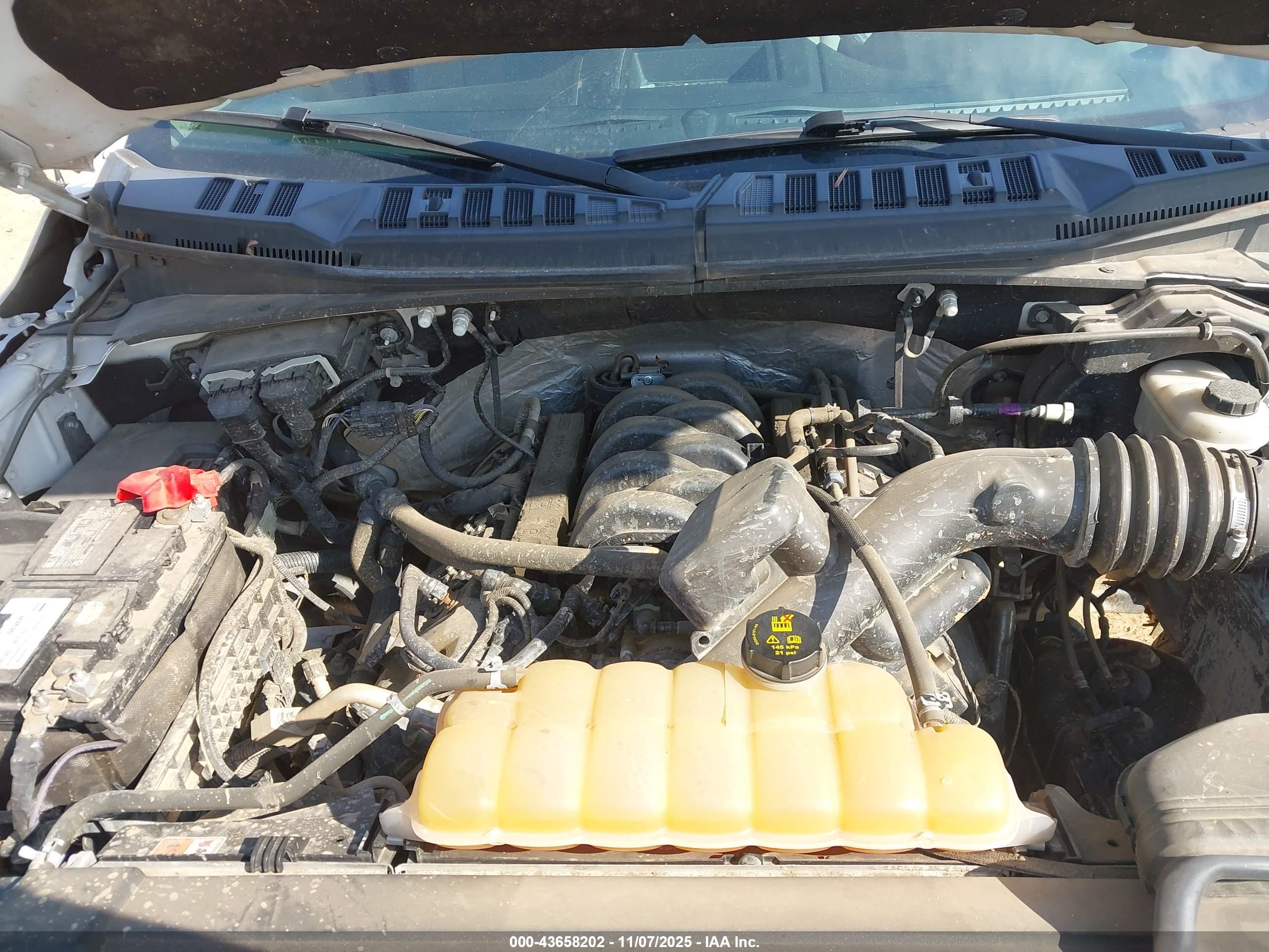 FORD F-150 image 10