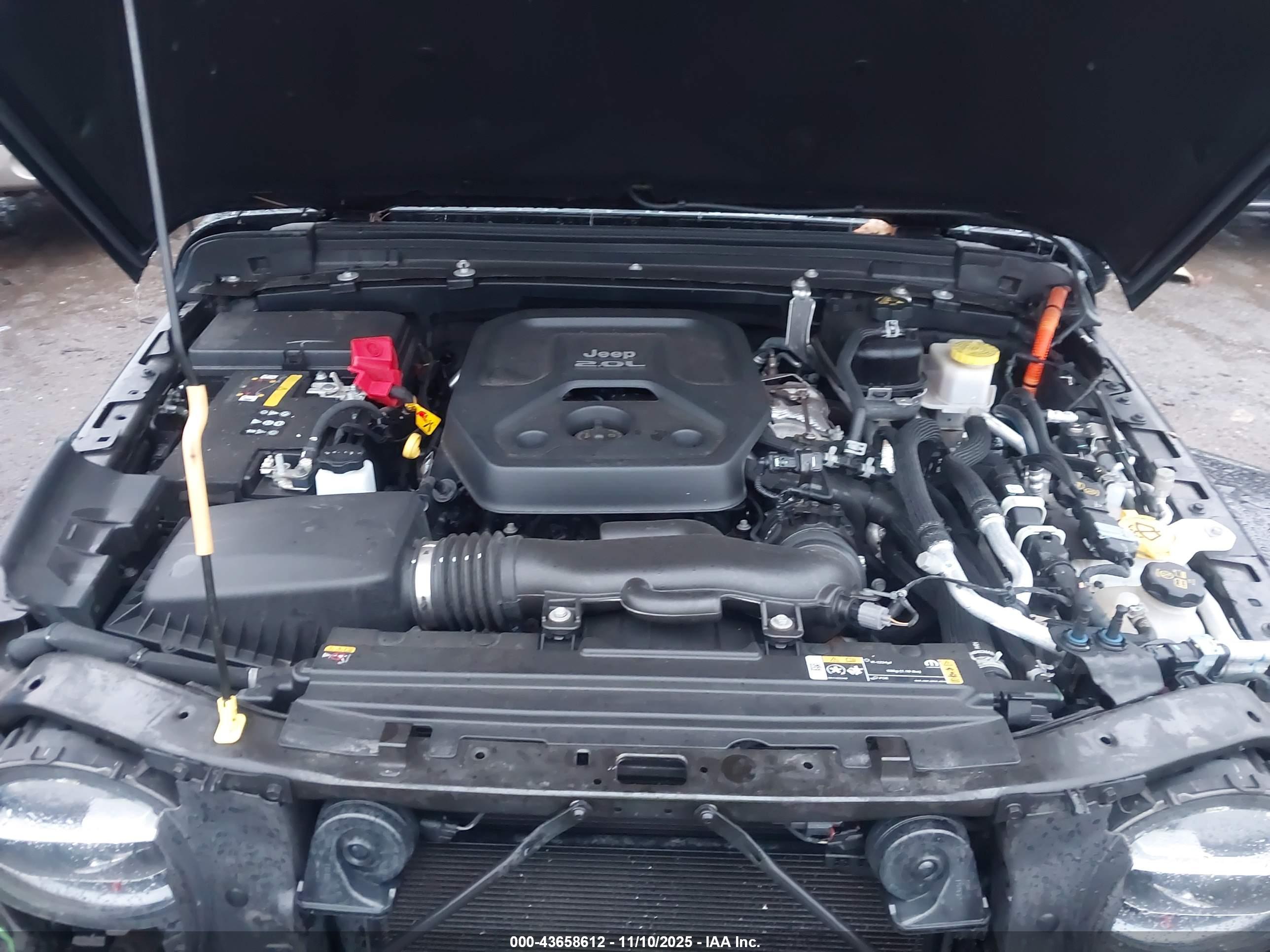 JEEP WRANGLER image 10