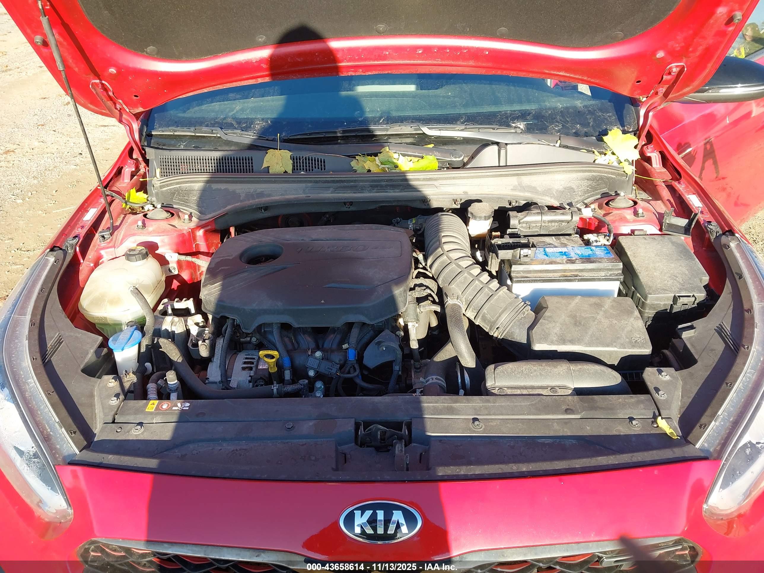 KIA FORTE image 10