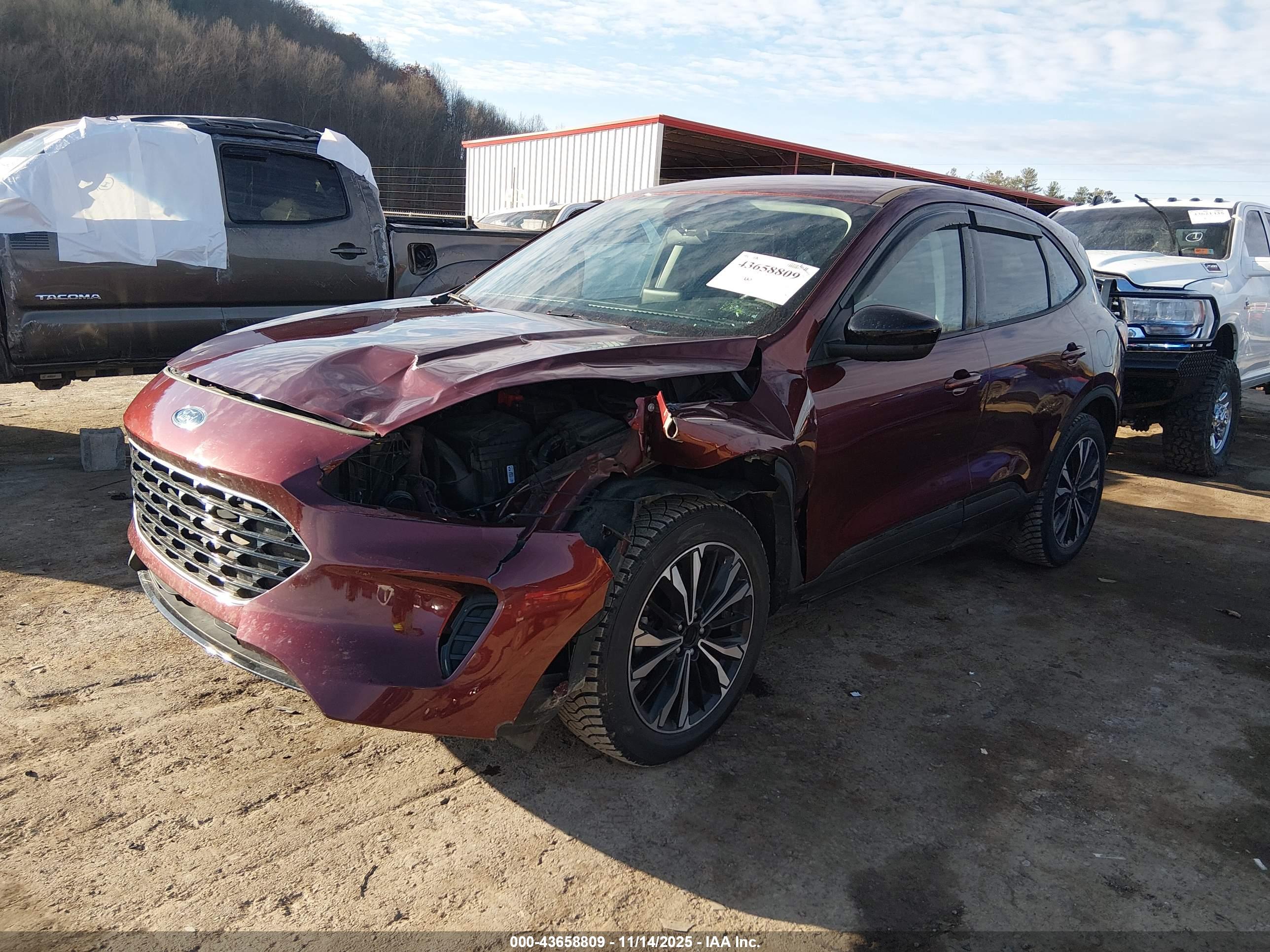 FORD ESCAPE image 2