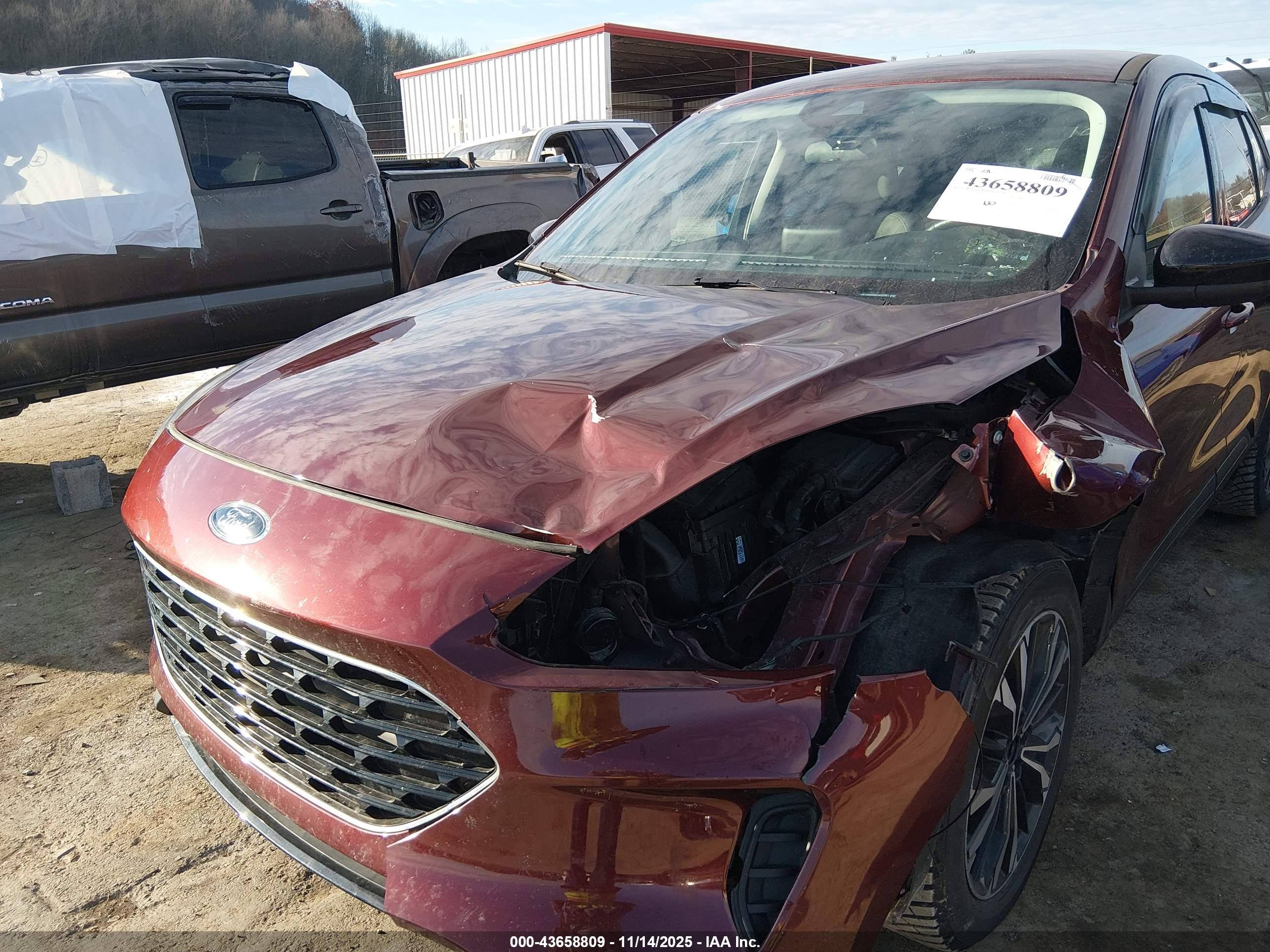 FORD ESCAPE image 6