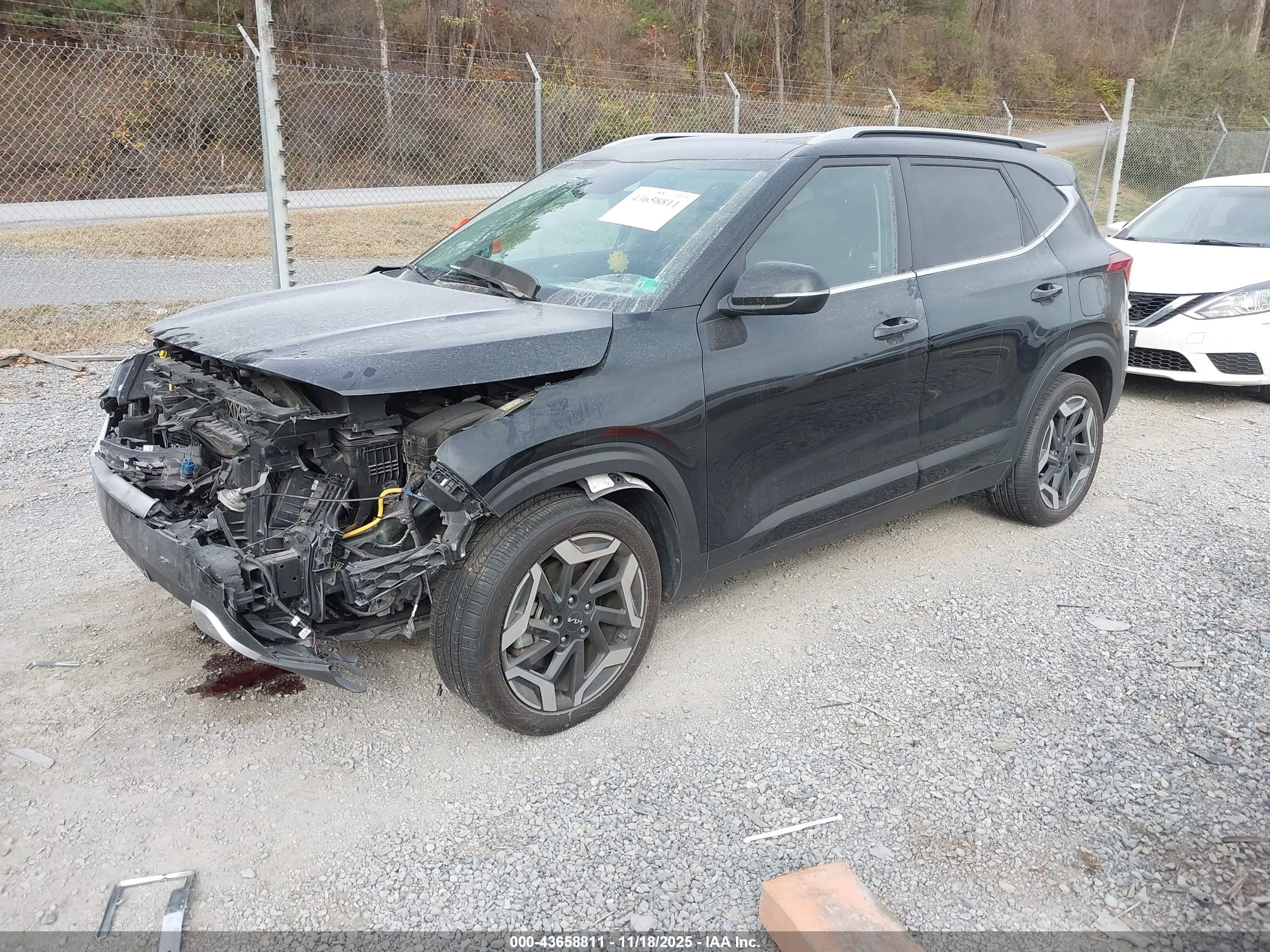 KIA SELTOS image 2