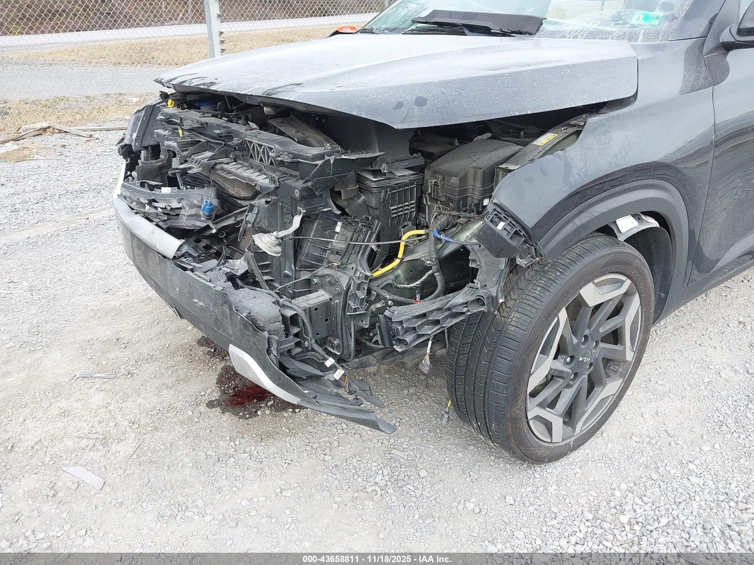 KIA SELTOS image 6