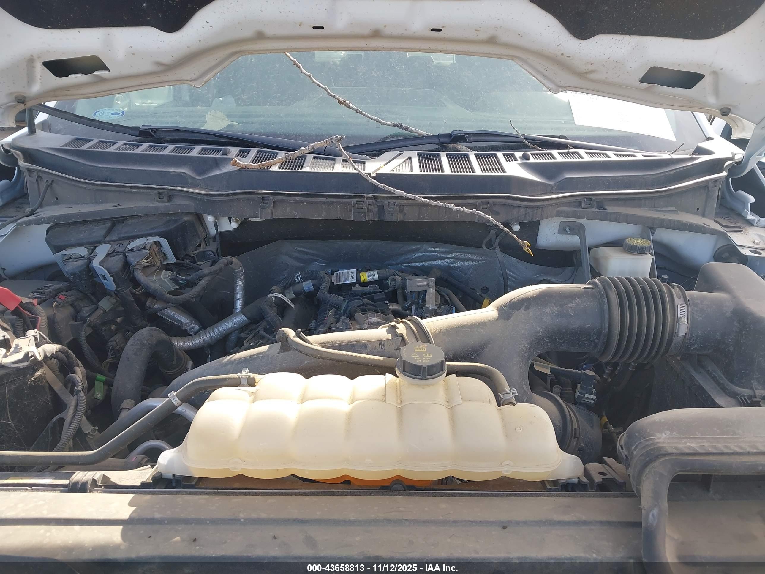 FORD F-150 image 10