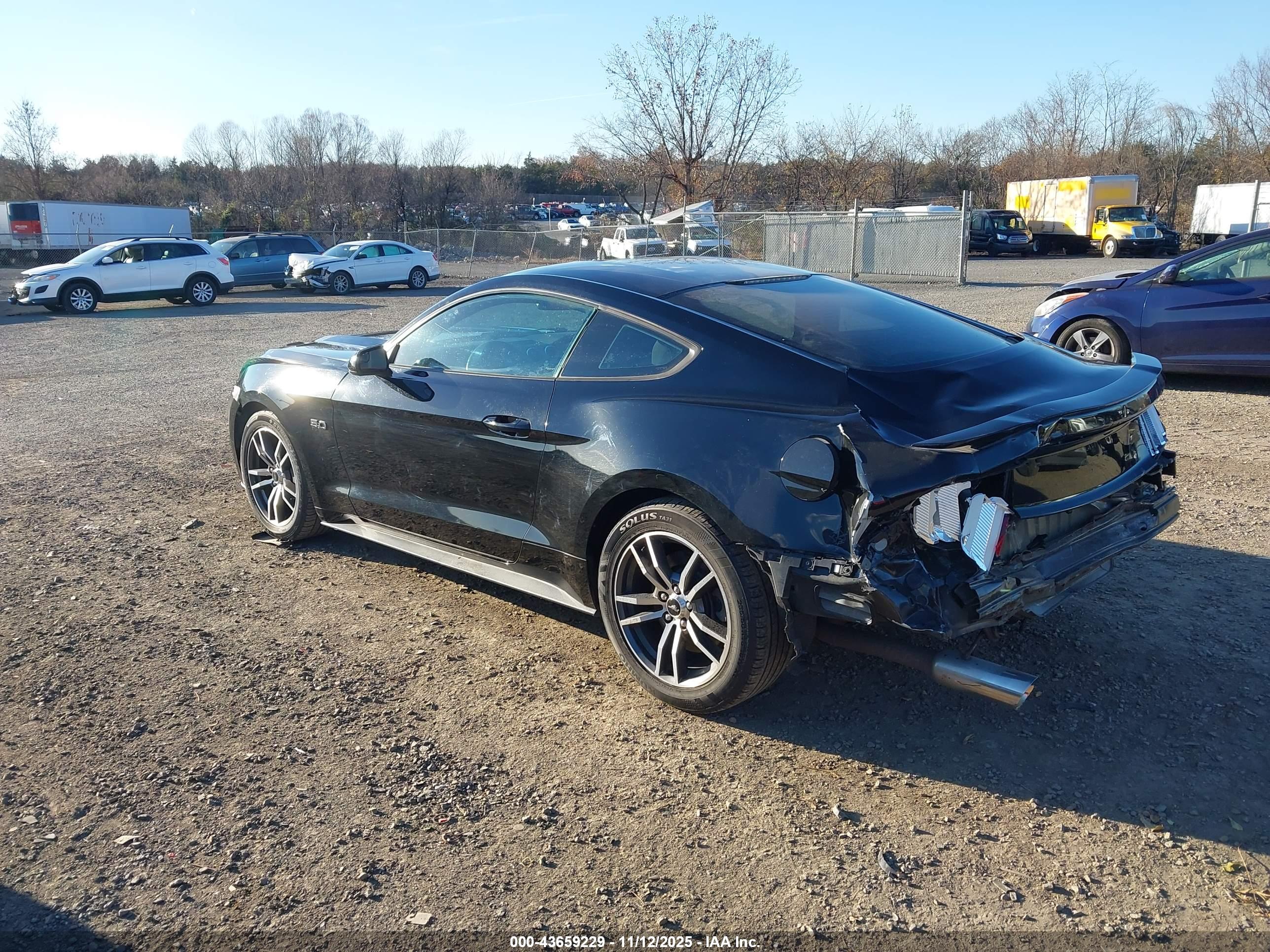 FORD MUSTANG image 3