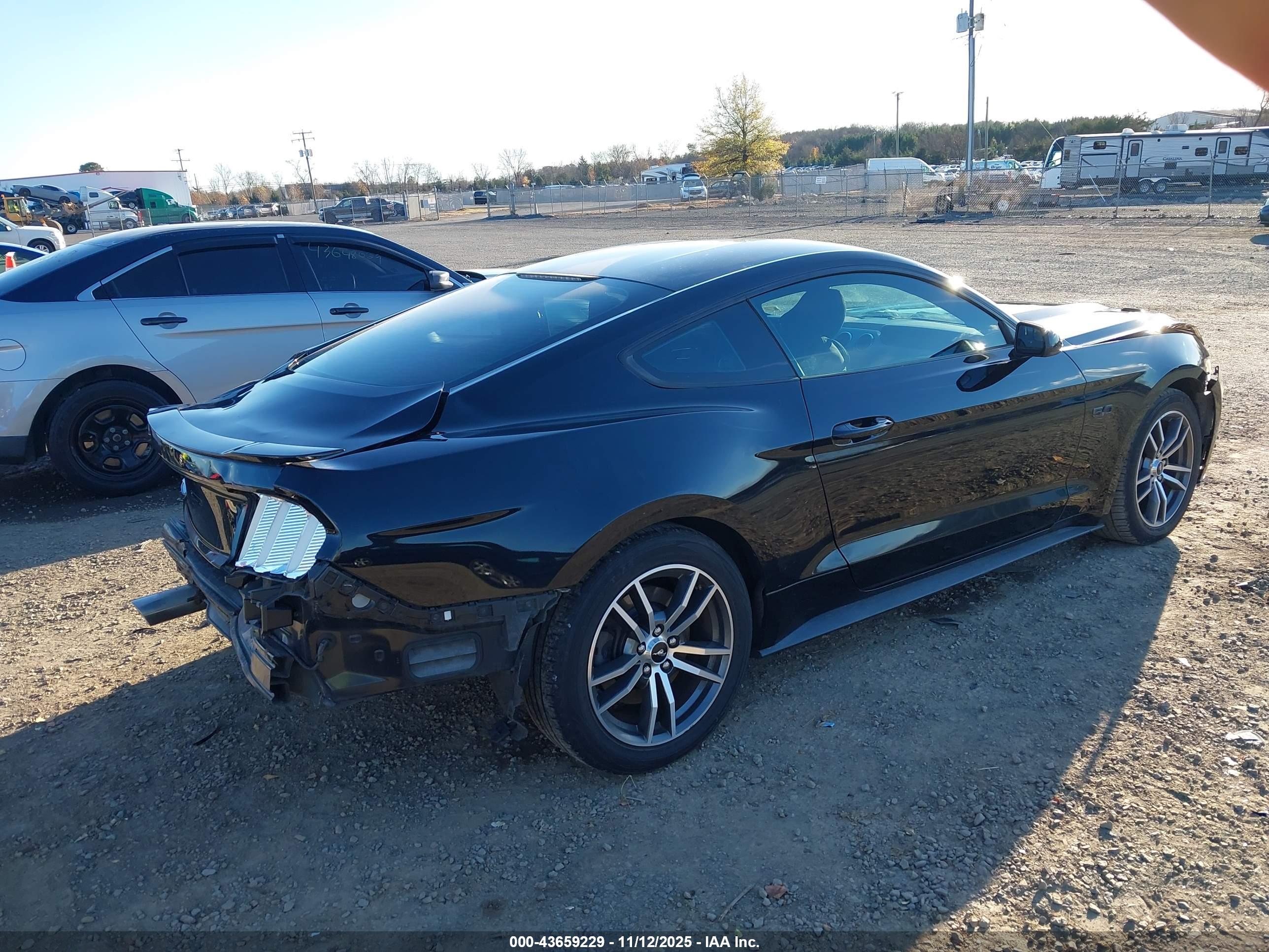 FORD MUSTANG image 4