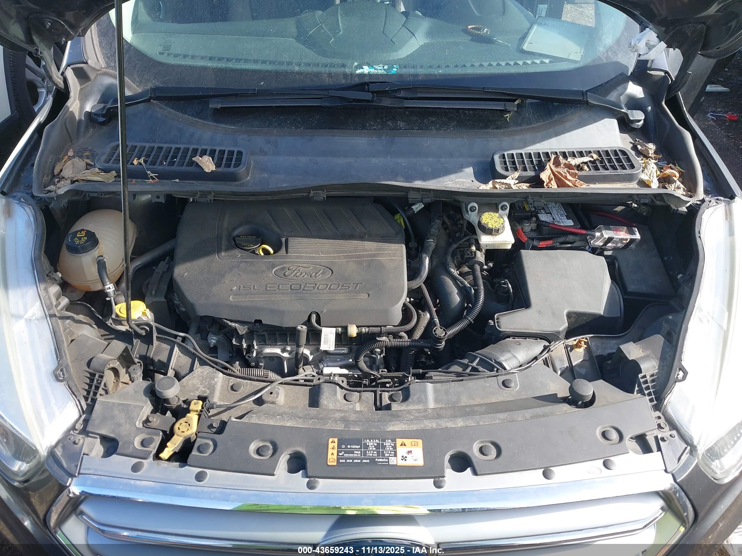 FORD ESCAPE image 10