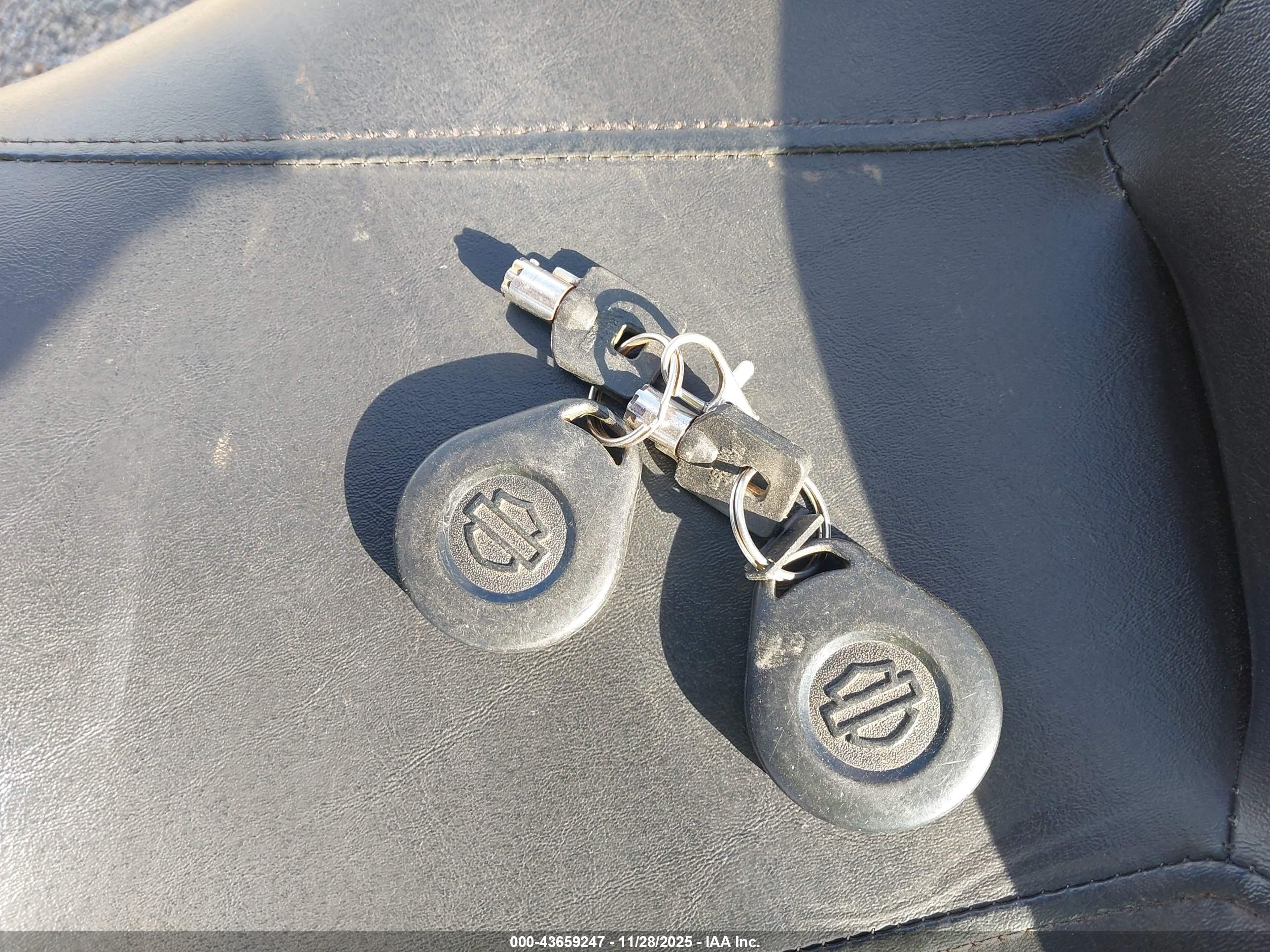 HARLEY-DAVIDSON FLHXS image 11