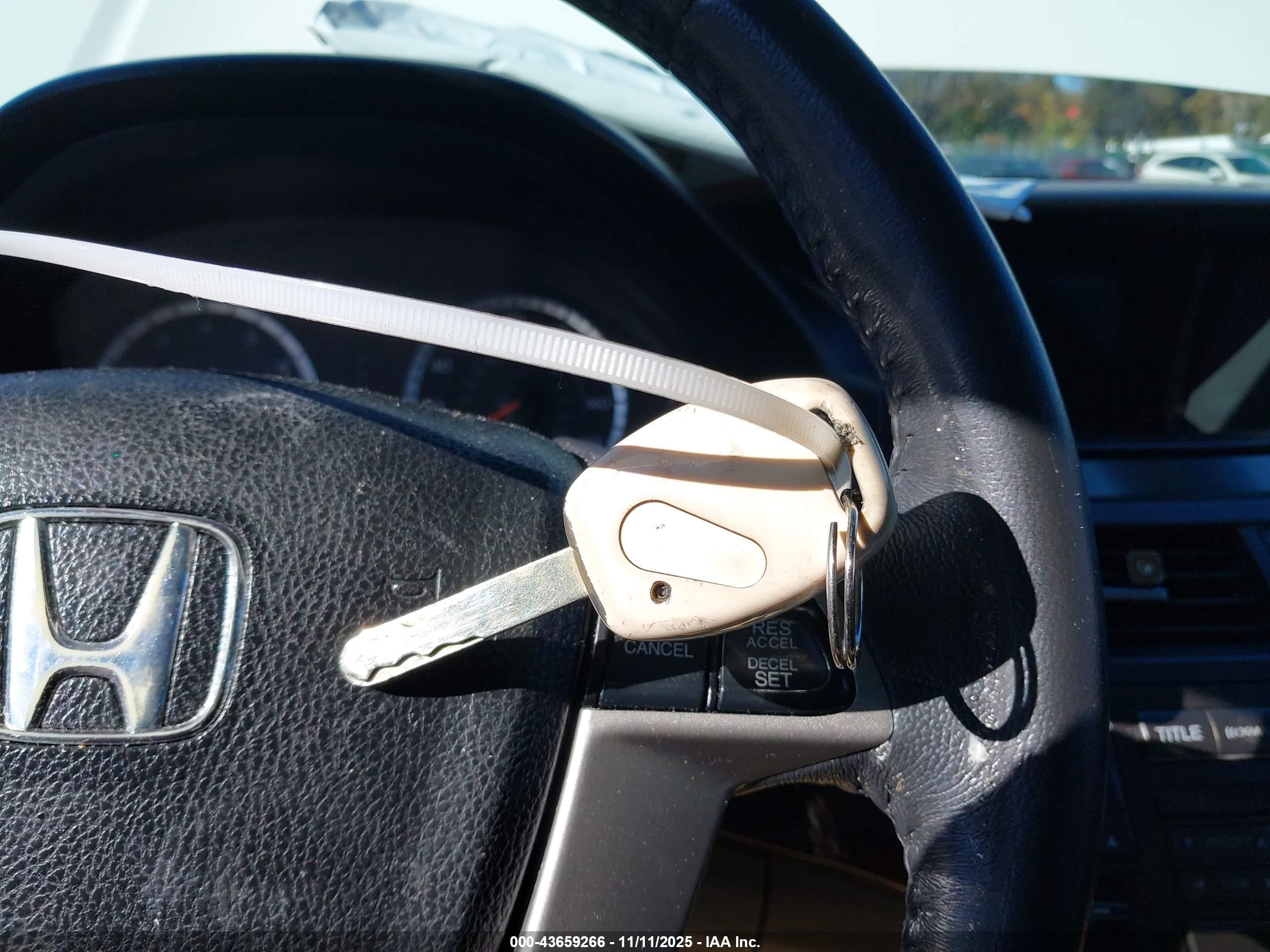 HONDA ACCORD image 11