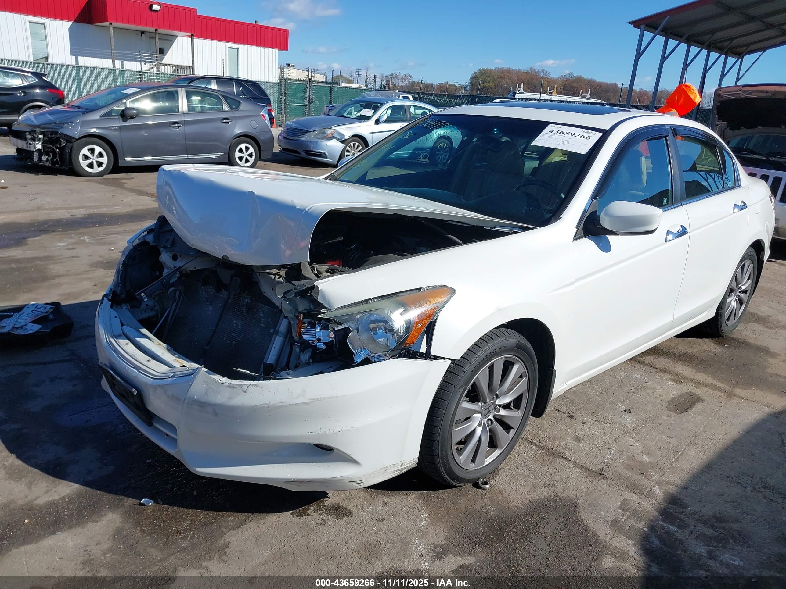HONDA ACCORD image 2