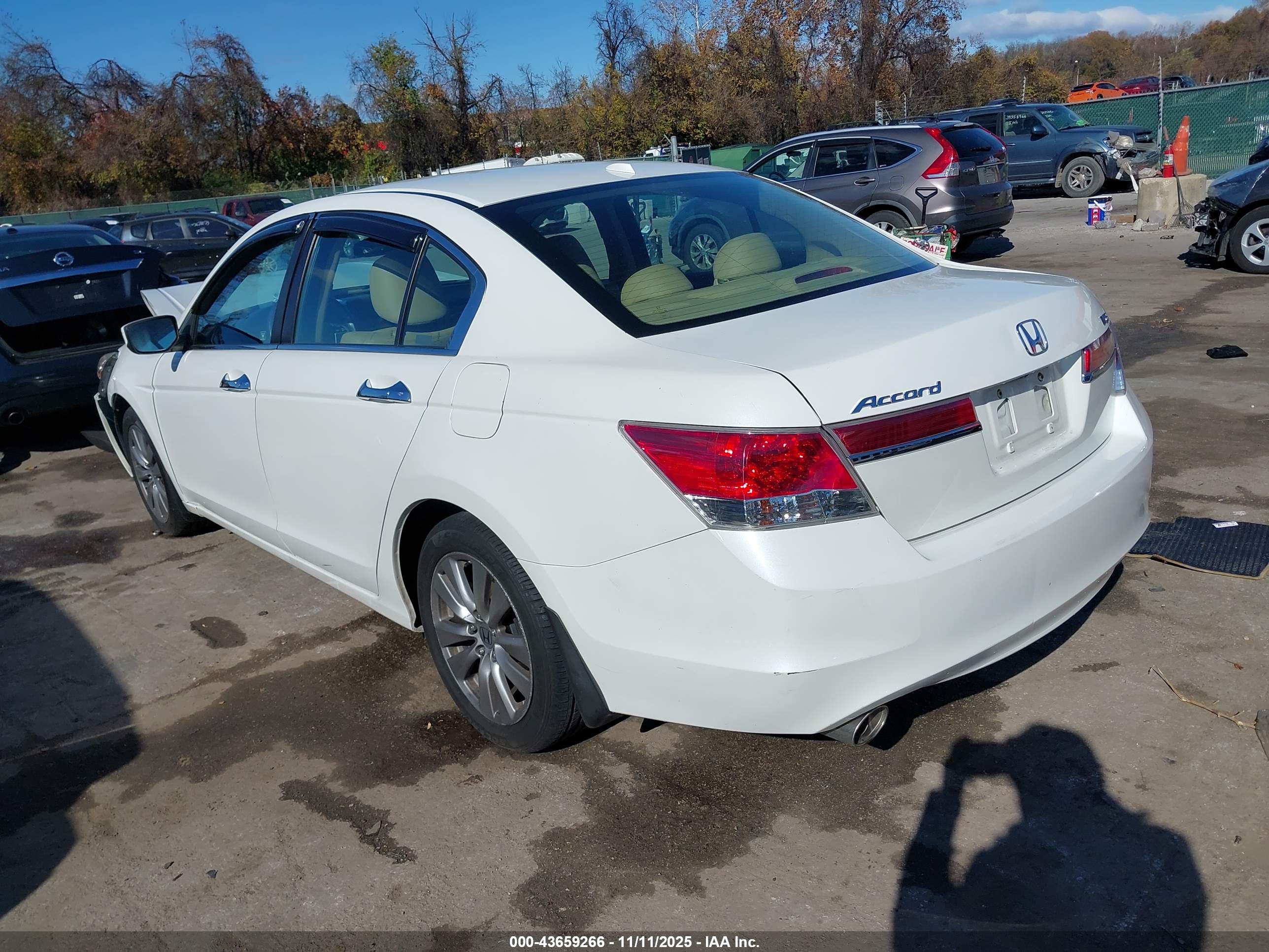 HONDA ACCORD image 3