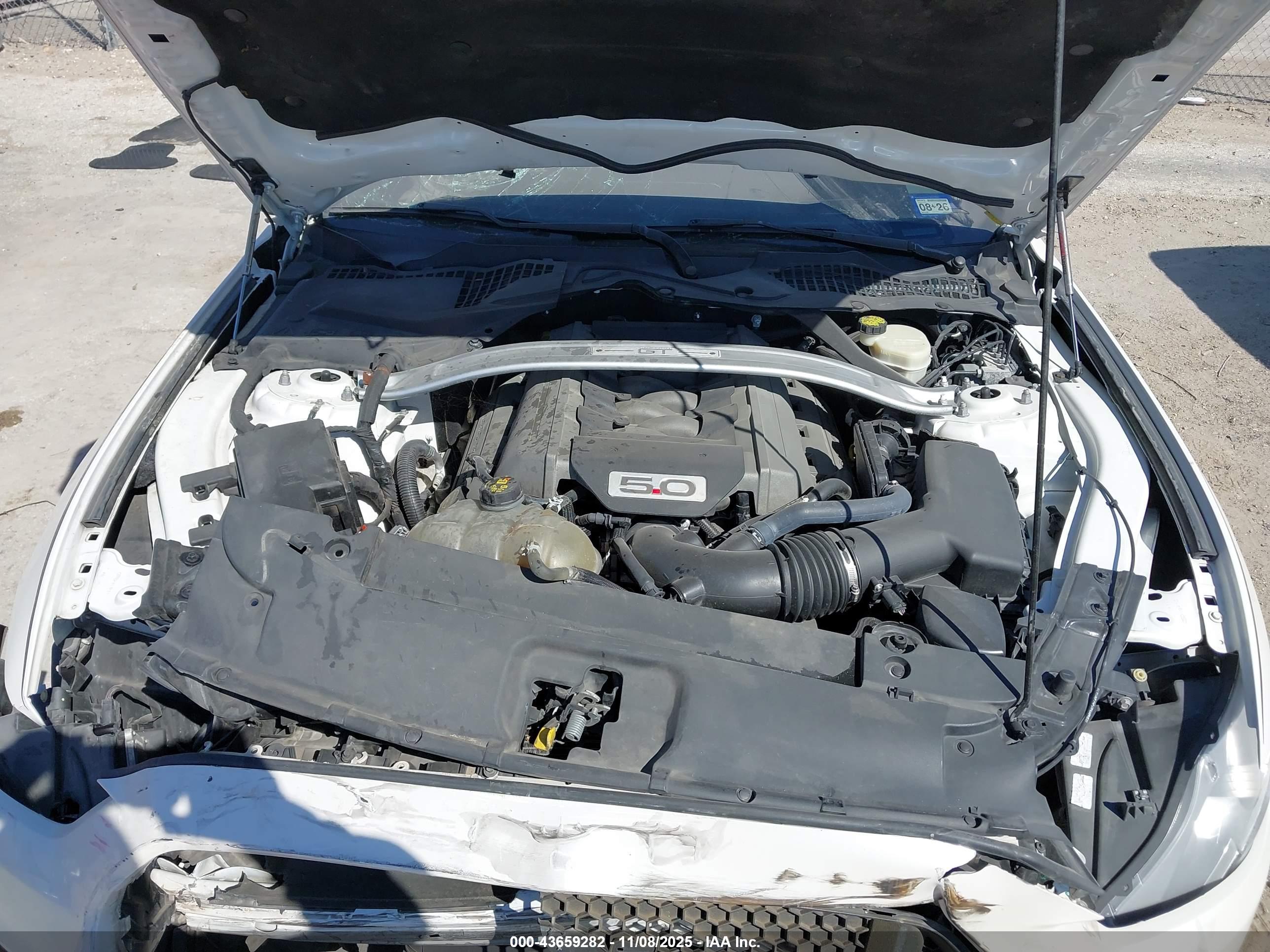 FORD MUSTANG image 10