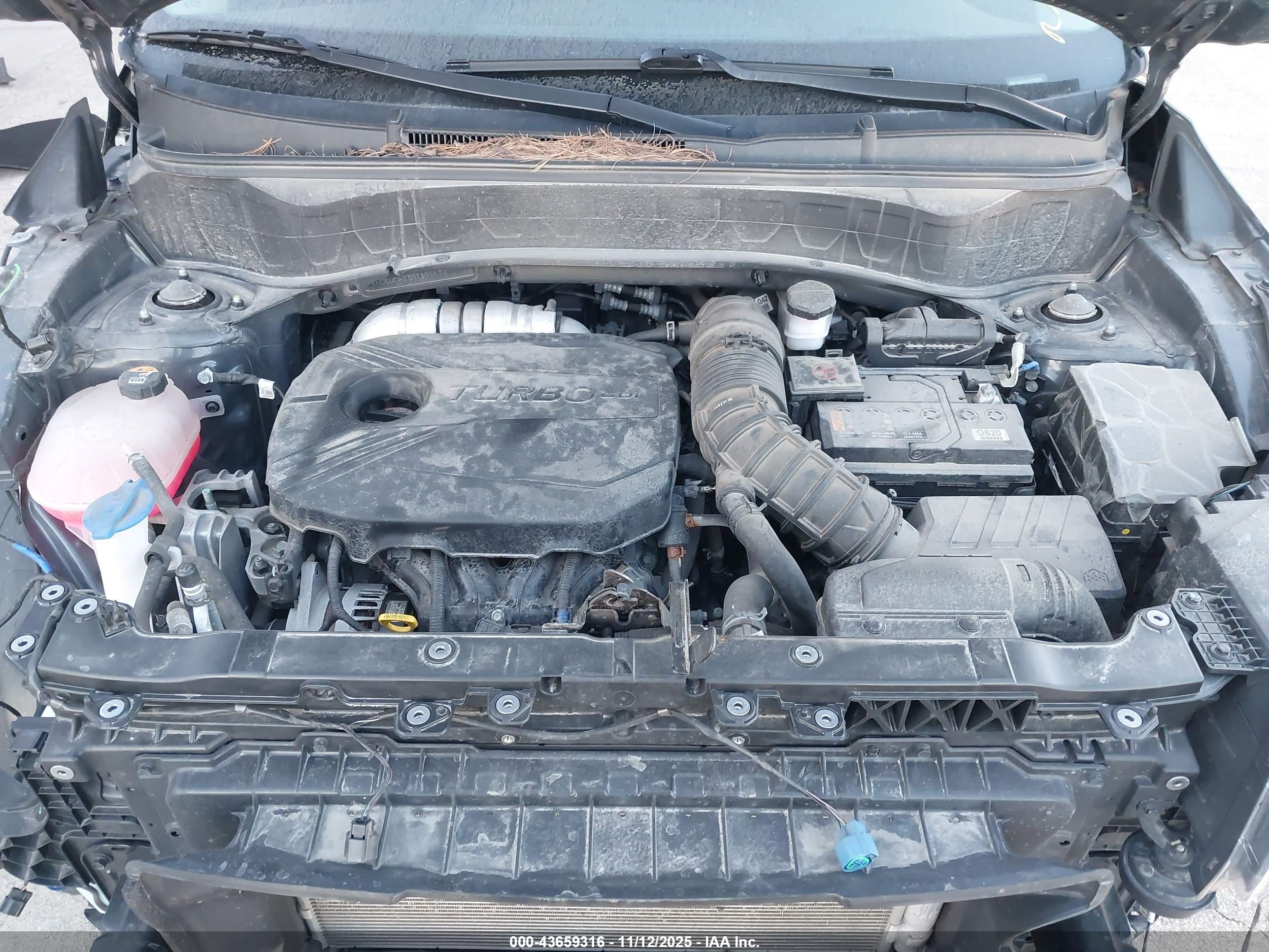 KIA SELTOS image 10