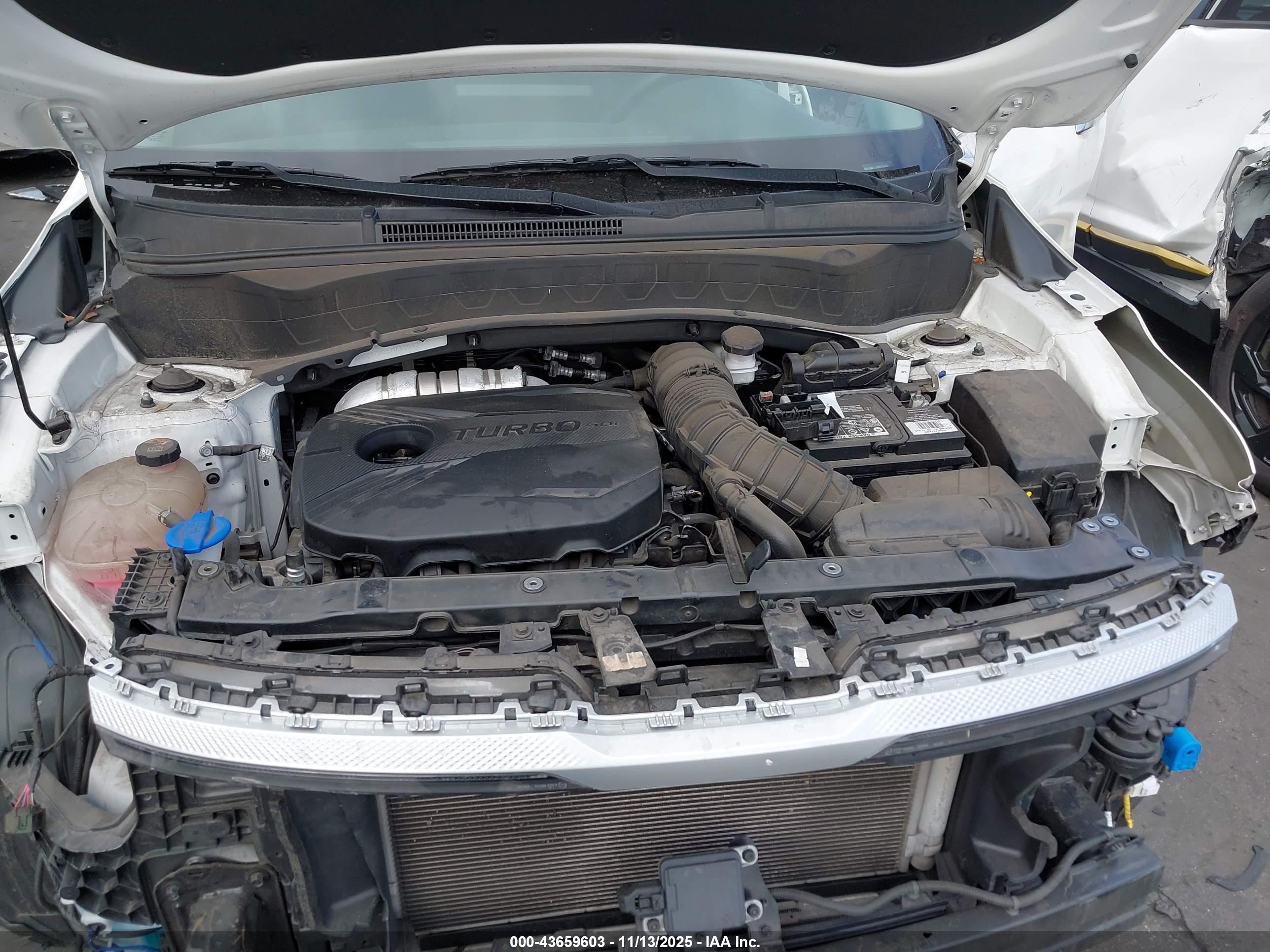 KIA SELTOS image 10