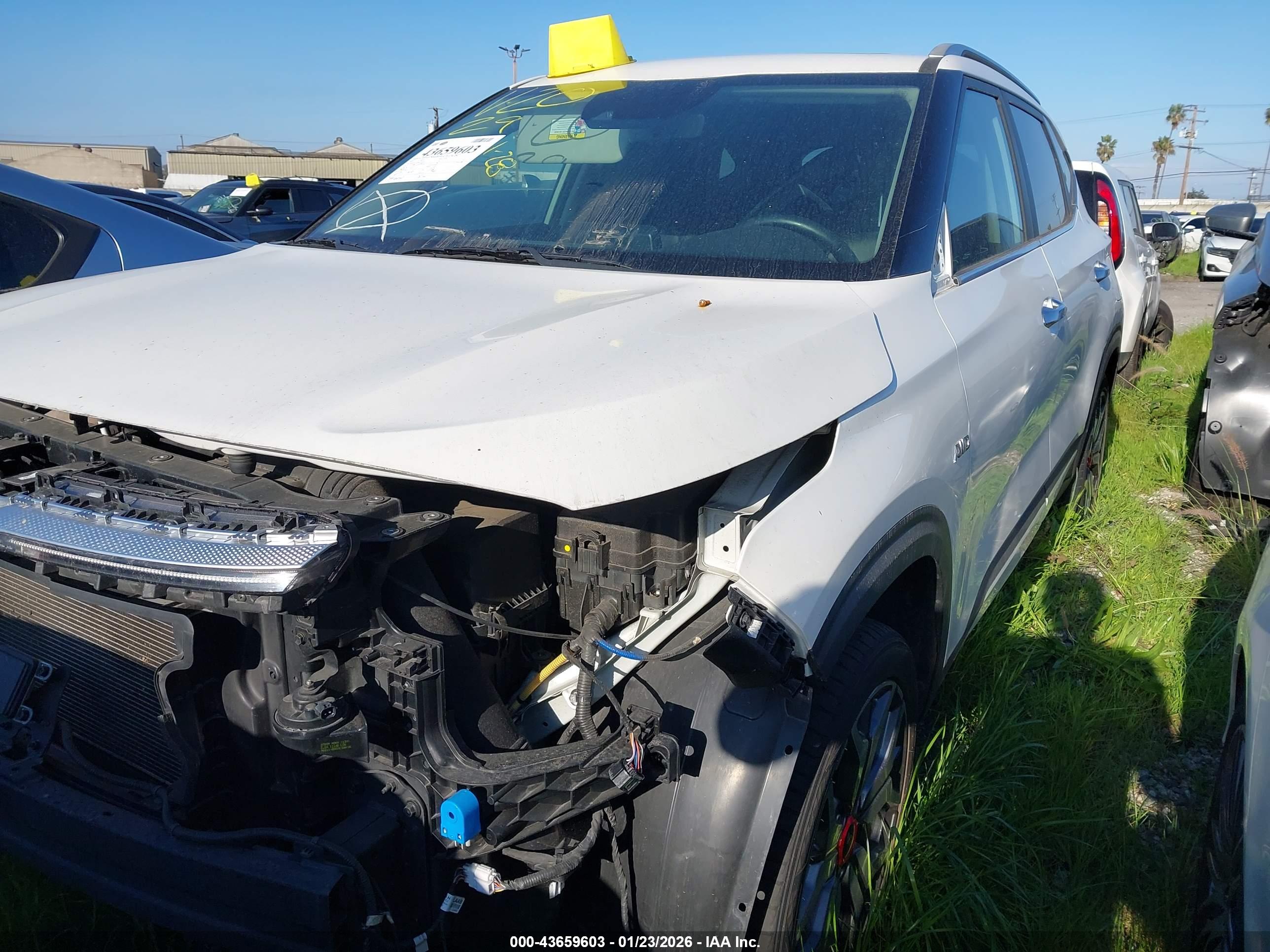 KIA SELTOS image 2