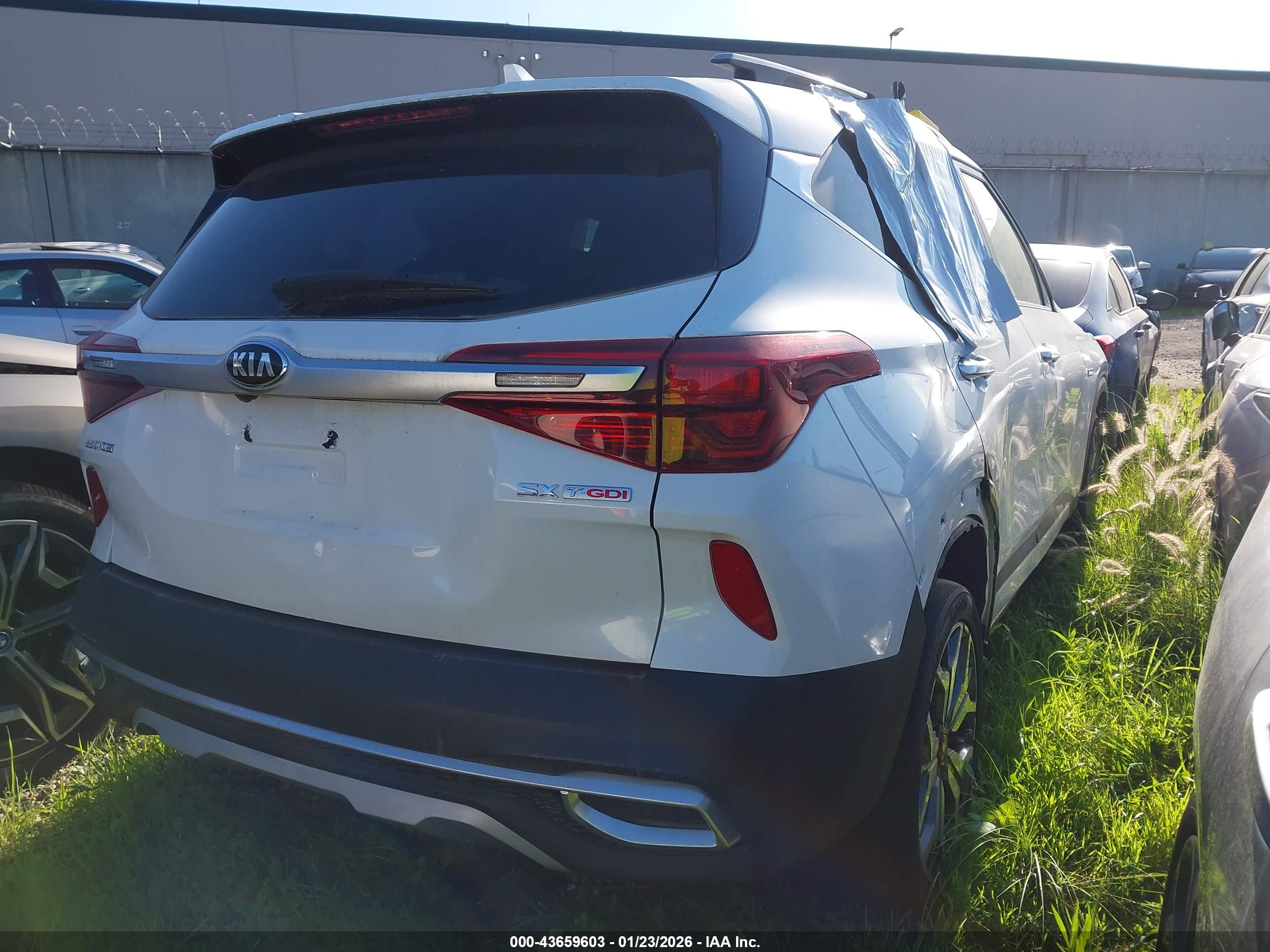 KIA SELTOS image 4