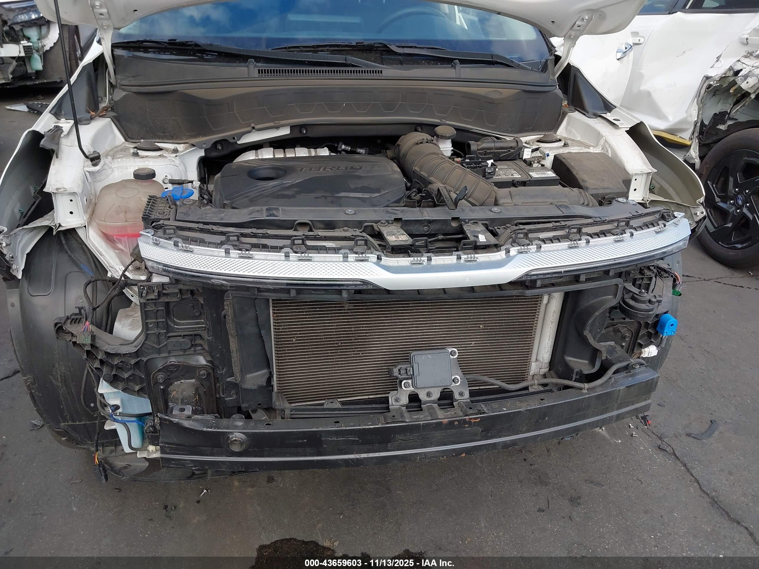KIA SELTOS image 6