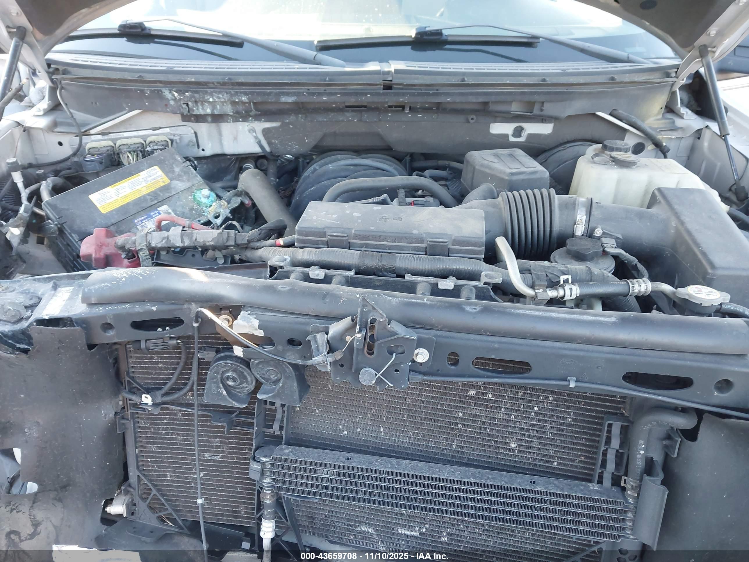 FORD F-150 image 10