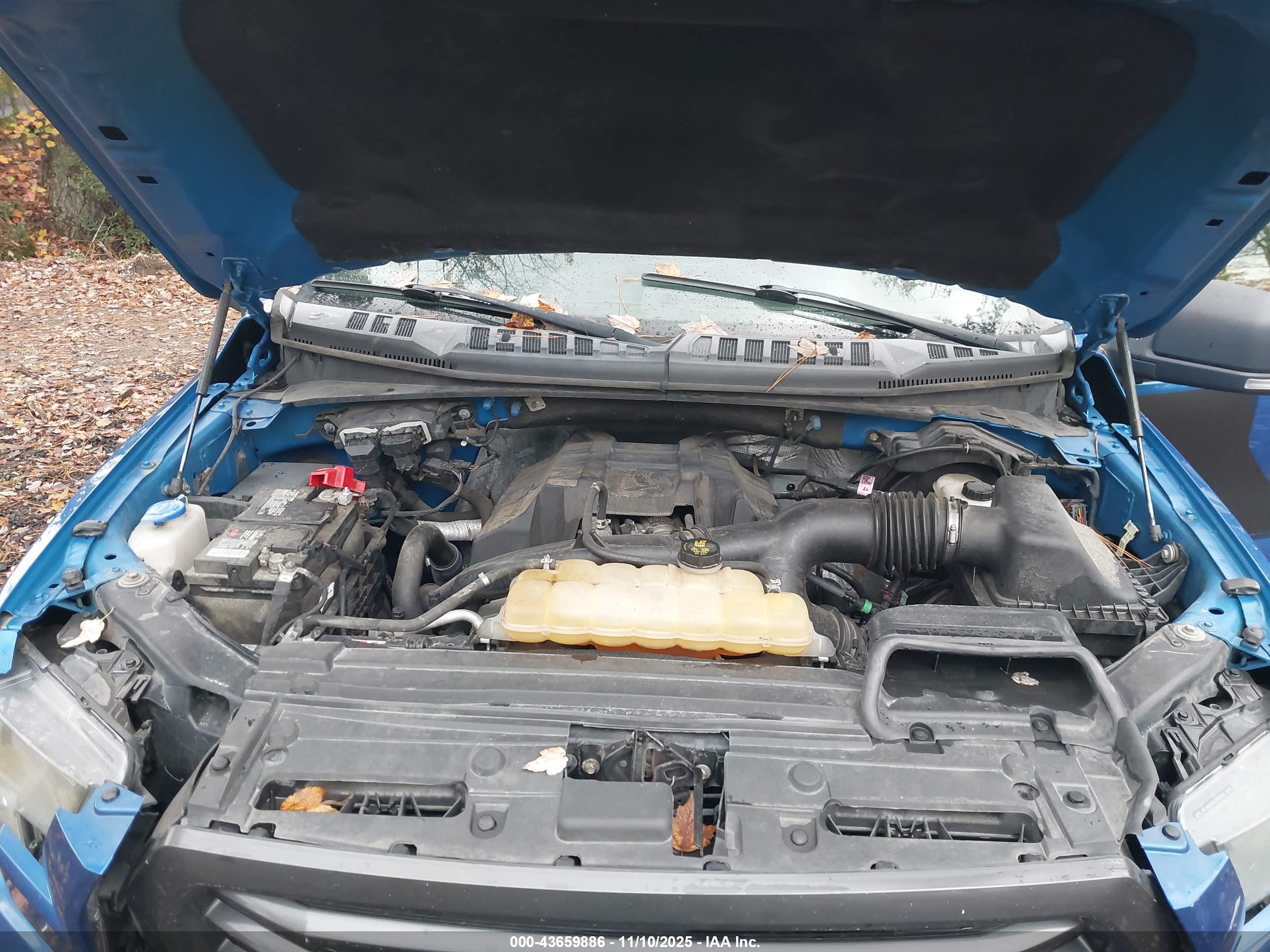 FORD F-150 image 10