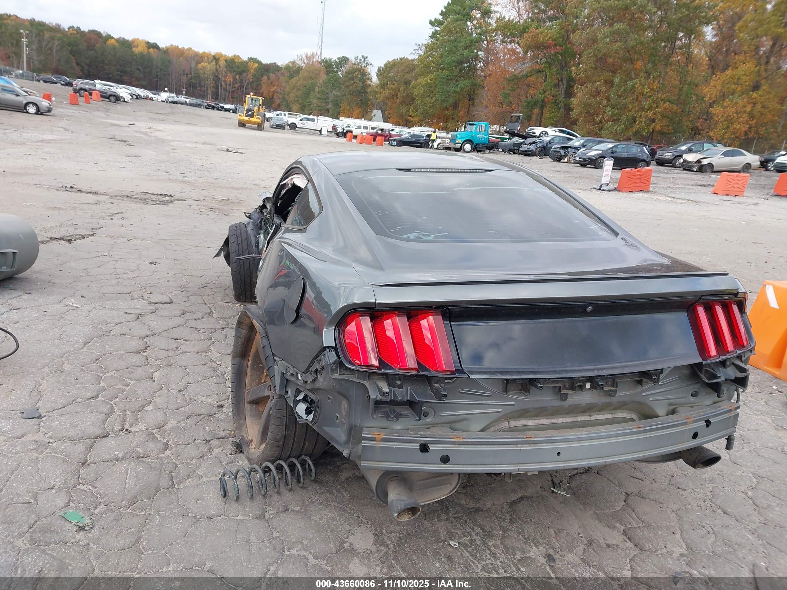 FORD MUSTANG image 3