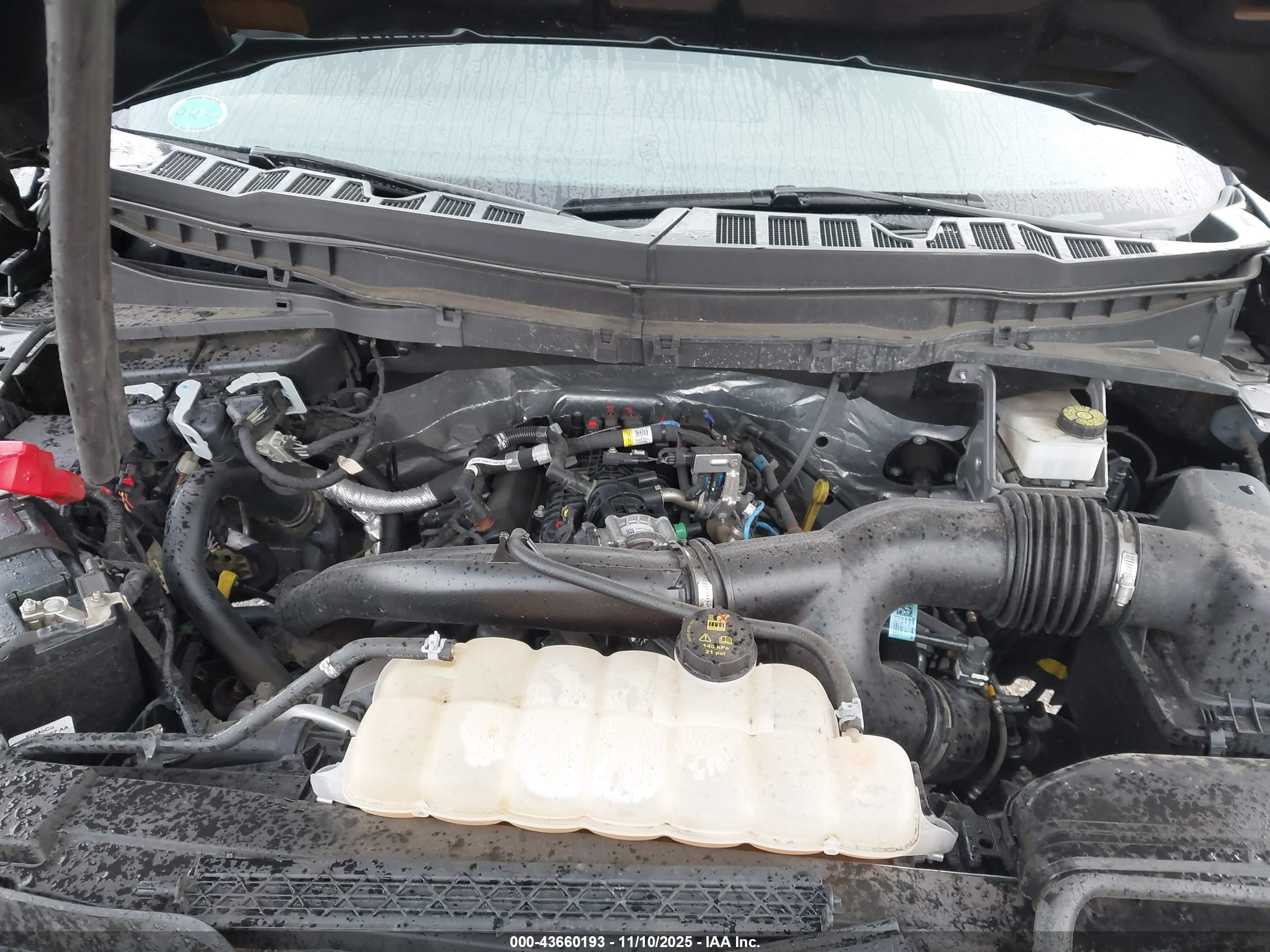 FORD F-150 image 10