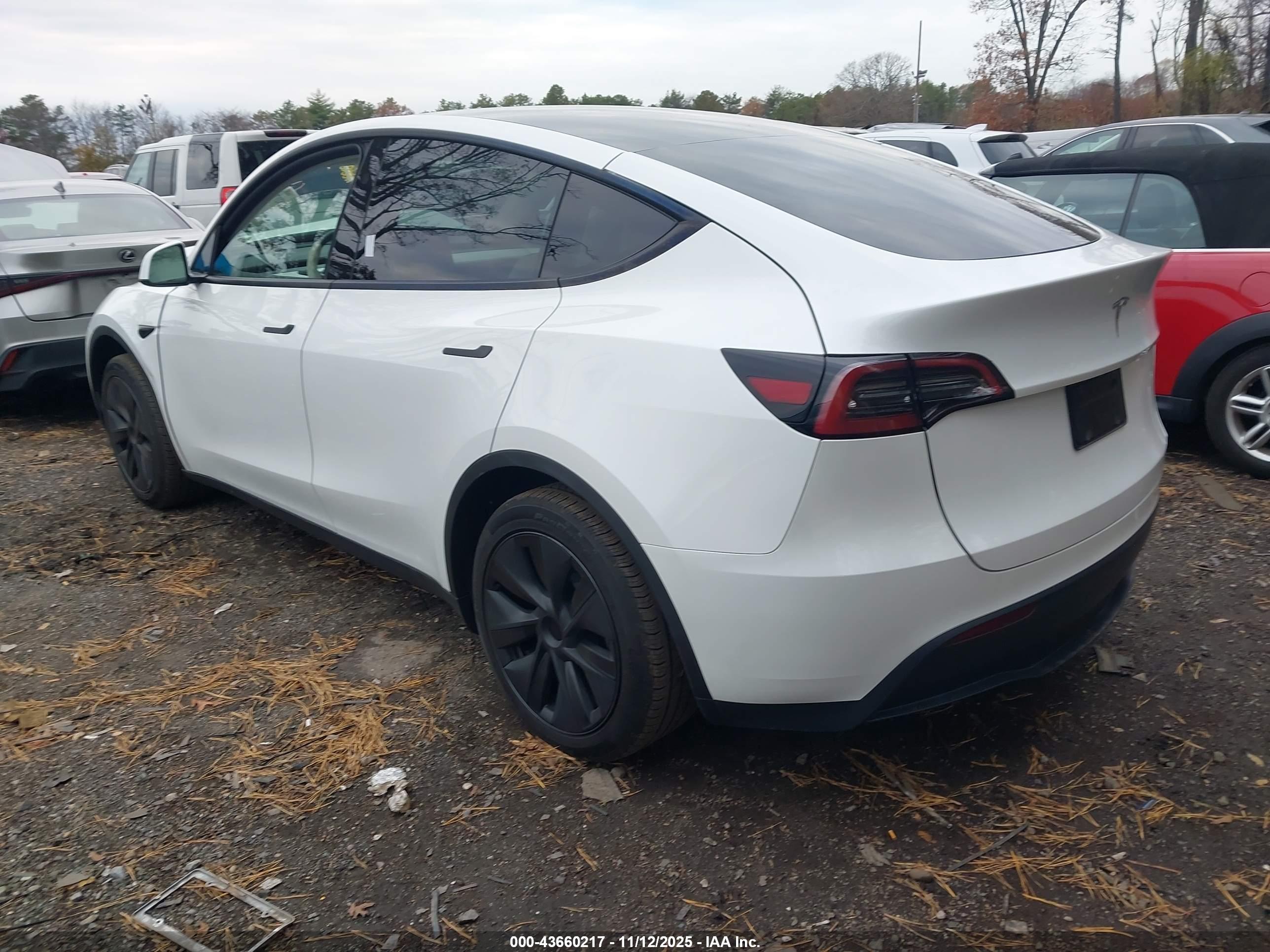 TESLA MODEL image 3