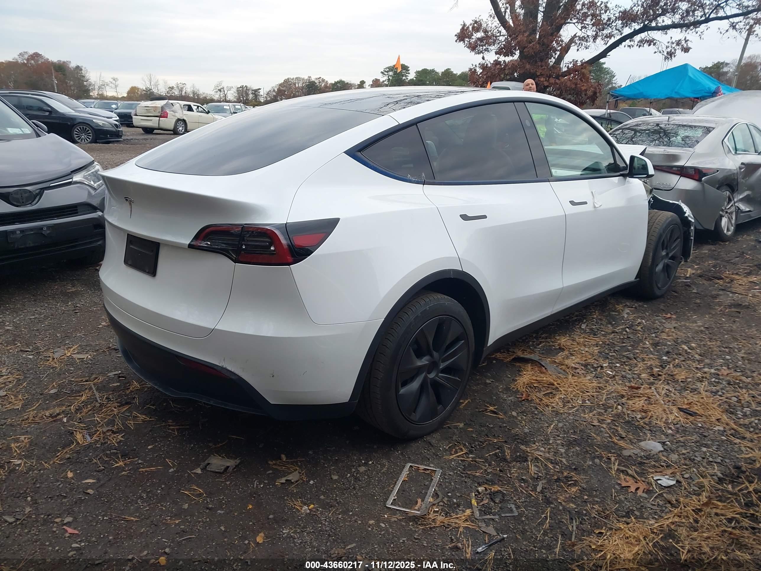 TESLA MODEL image 4