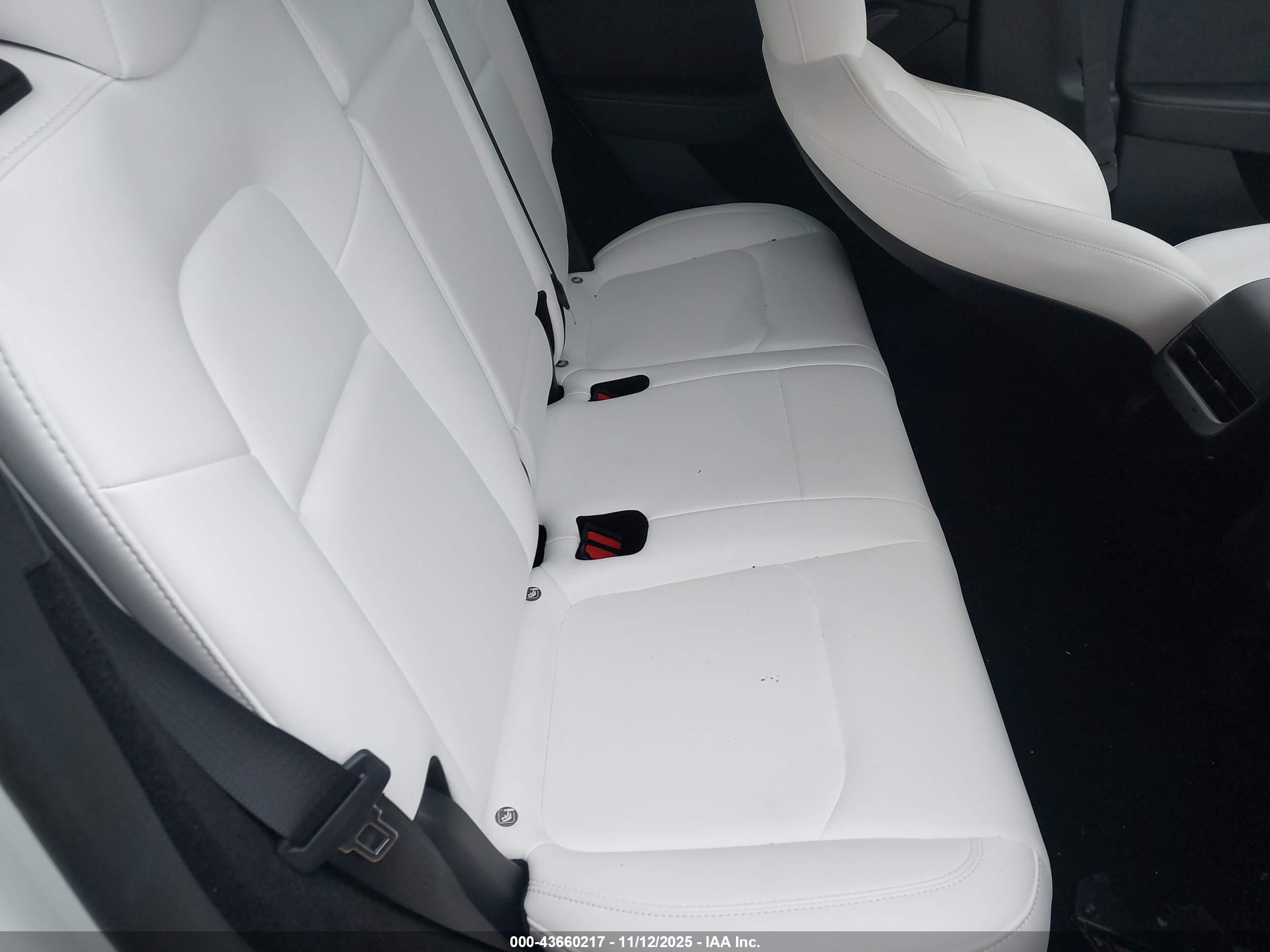TESLA MODEL image 8