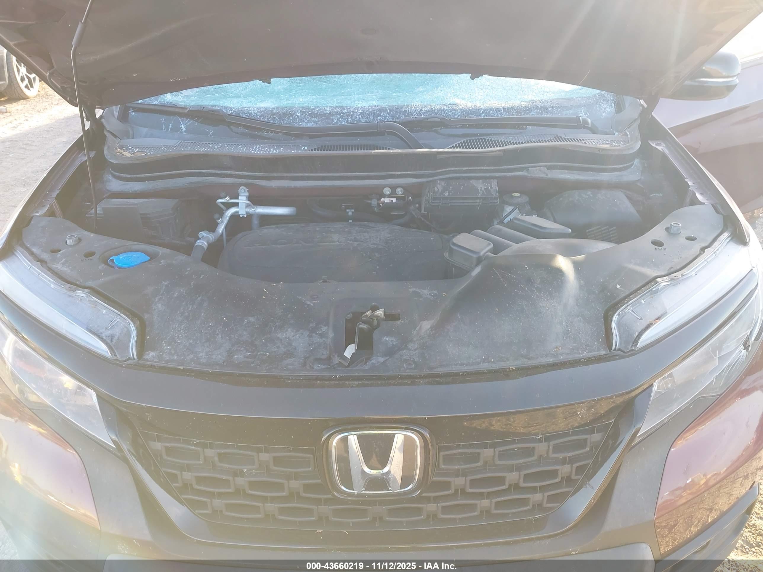 HONDA PASSPORT image 10