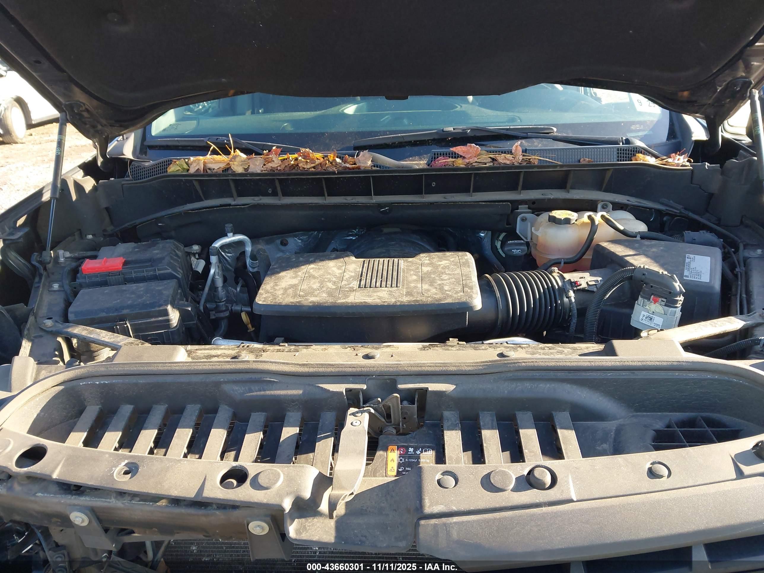 CHEVROLET SILVERADO image 10