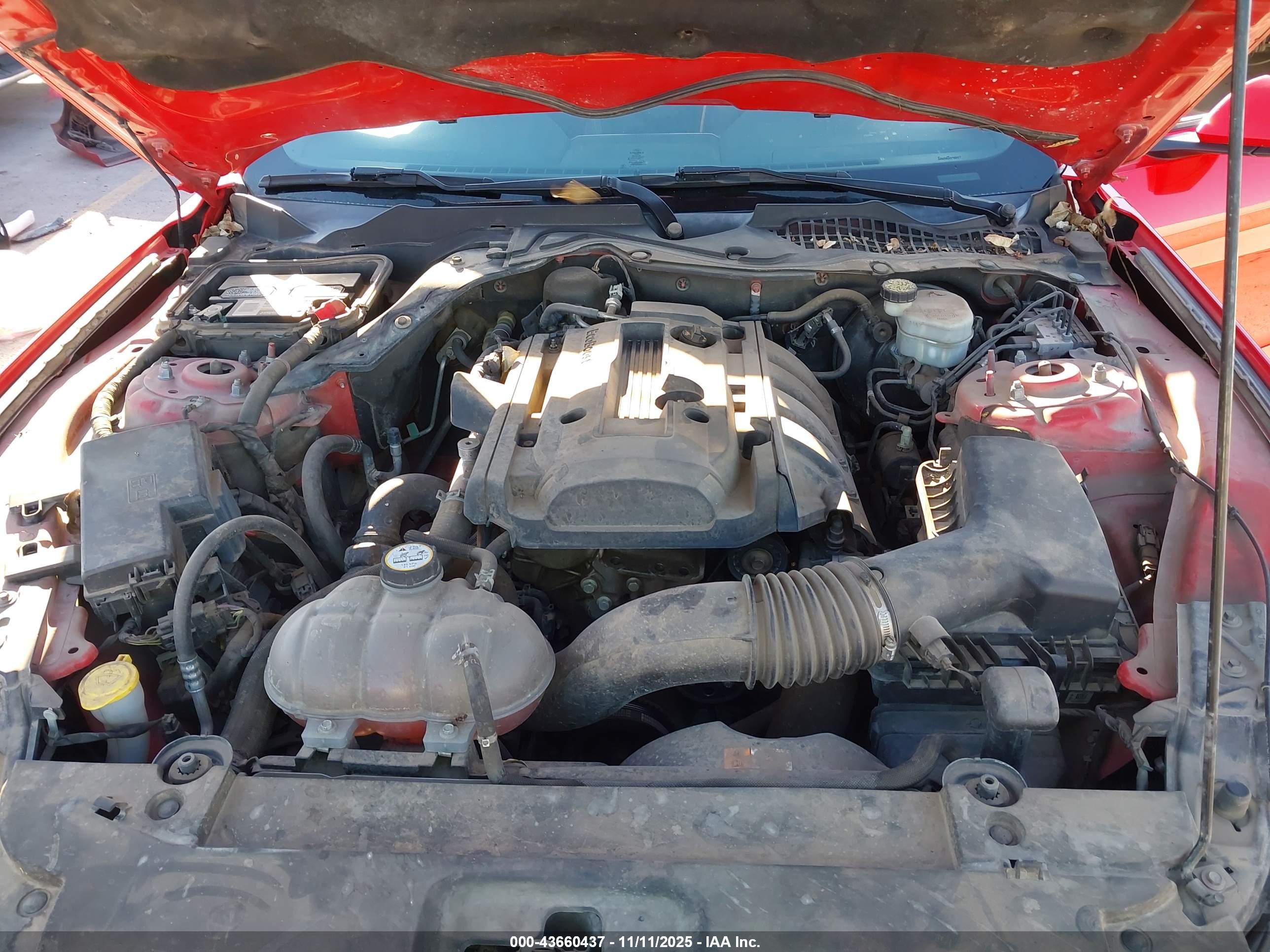 FORD MUSTANG image 10